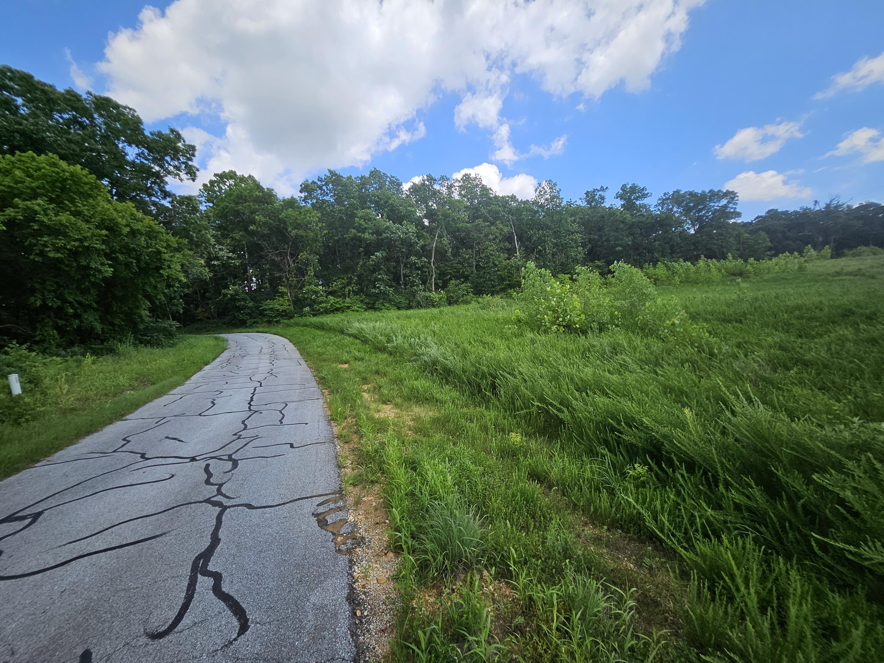 main property photo 14