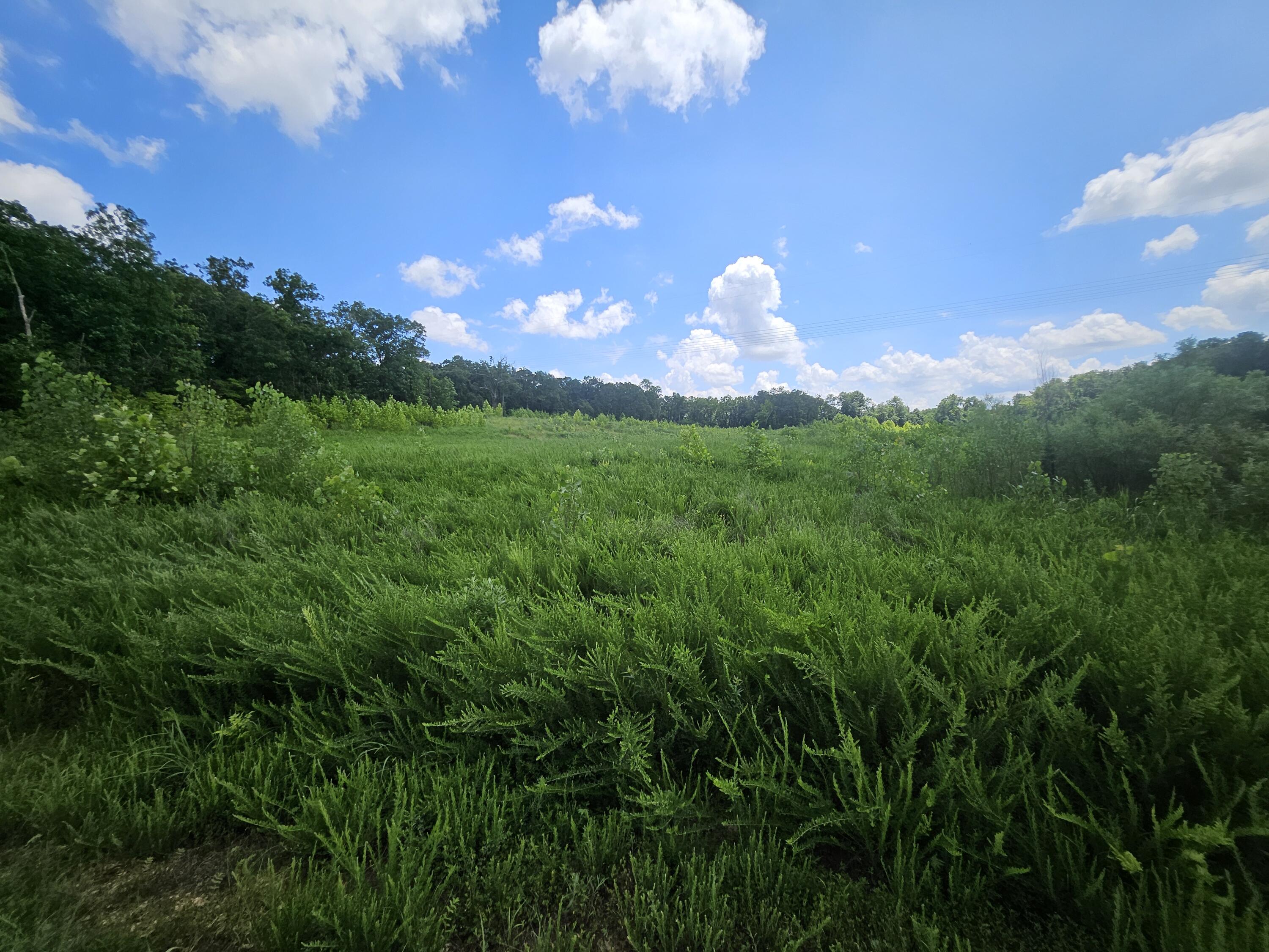 main property photo 15