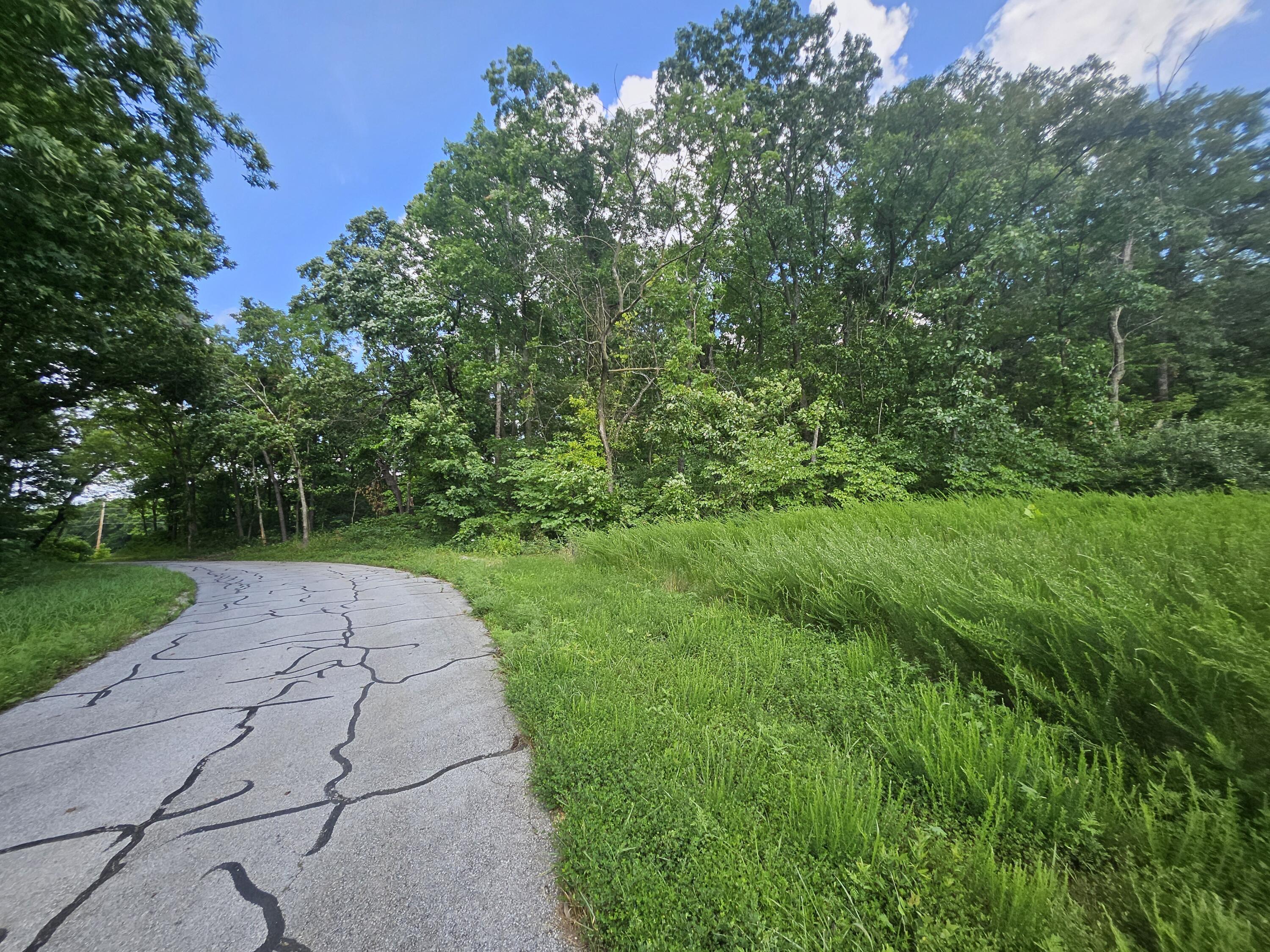 main property photo 16