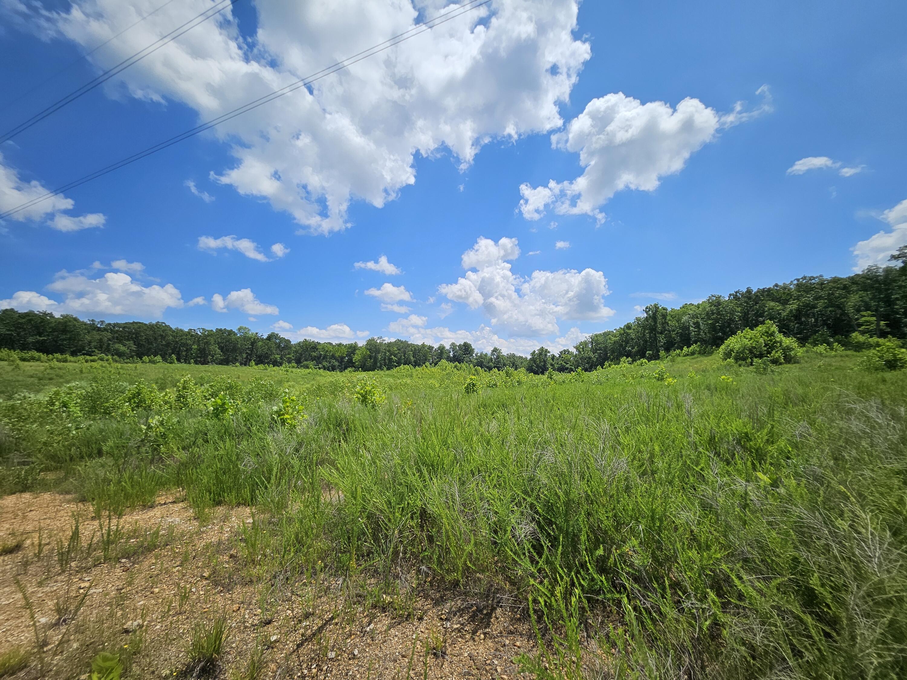 main property photo 9
