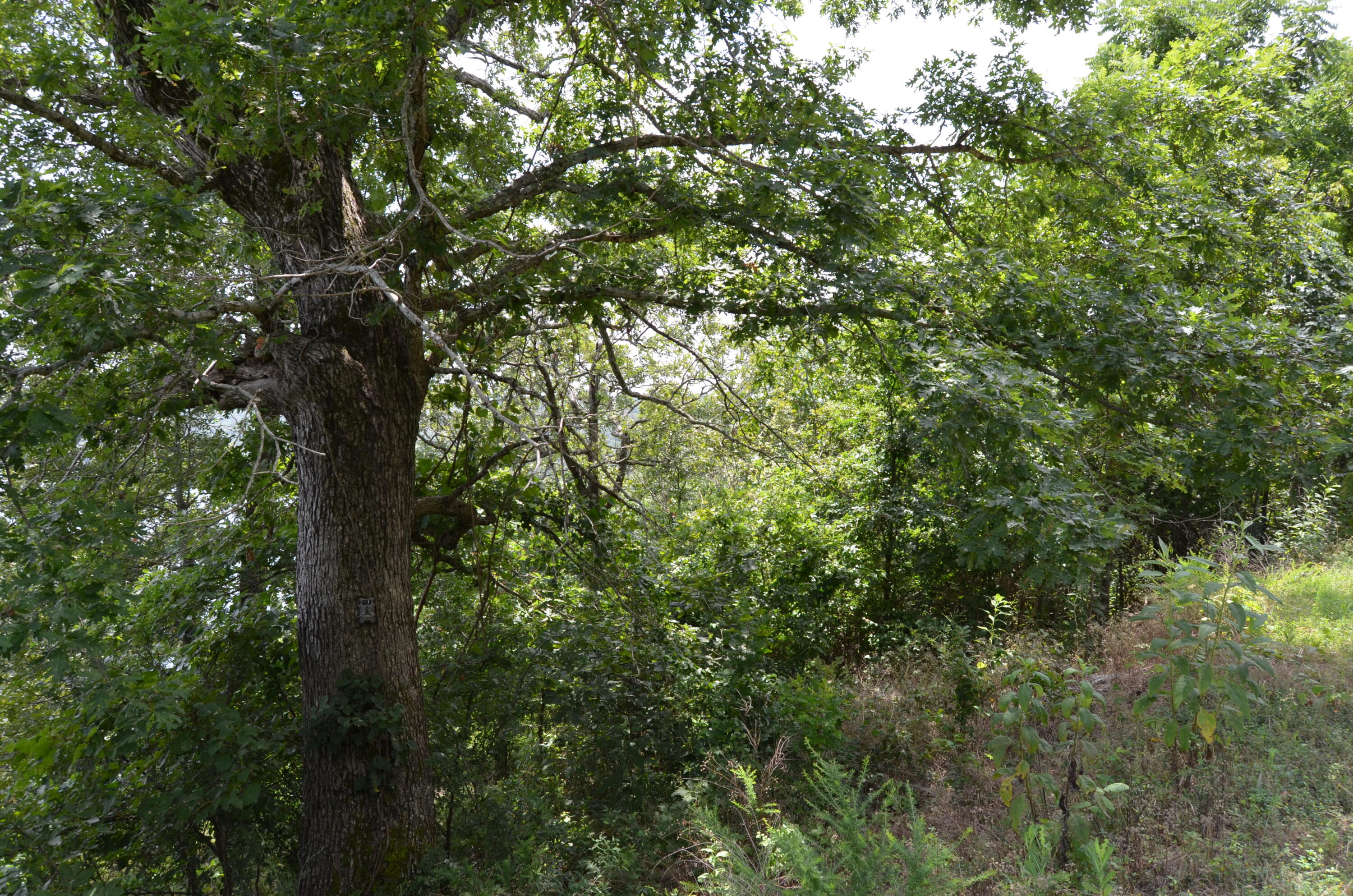 main property photo 13