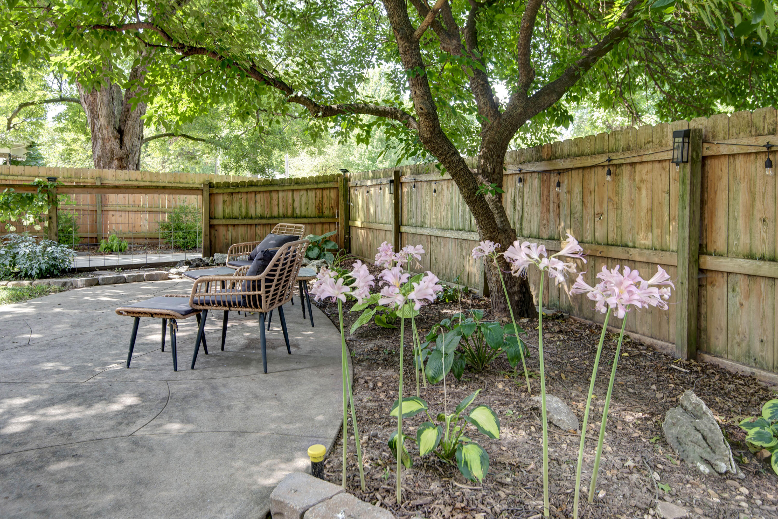 property viewer photo 40