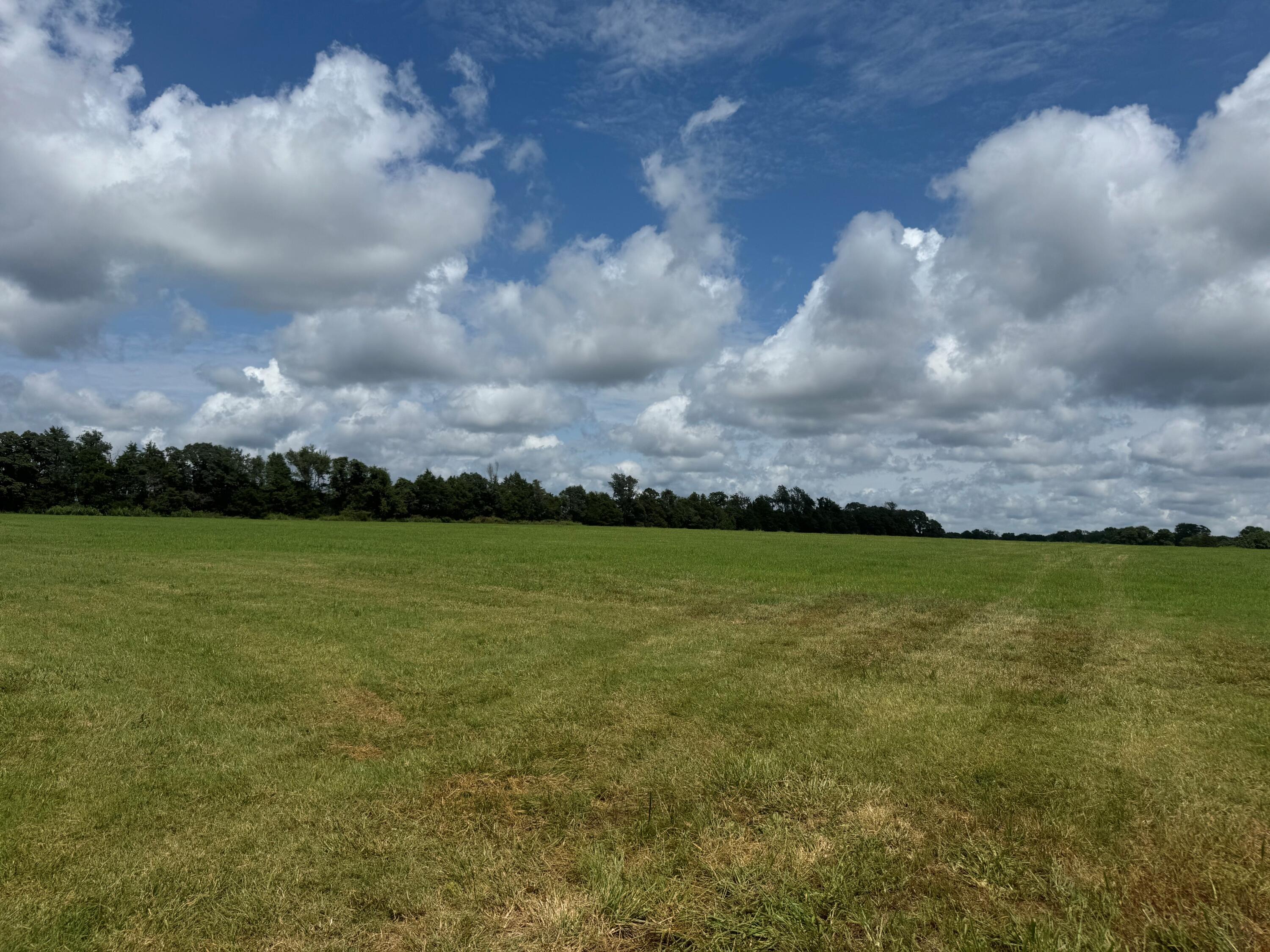 property viewer photo 1