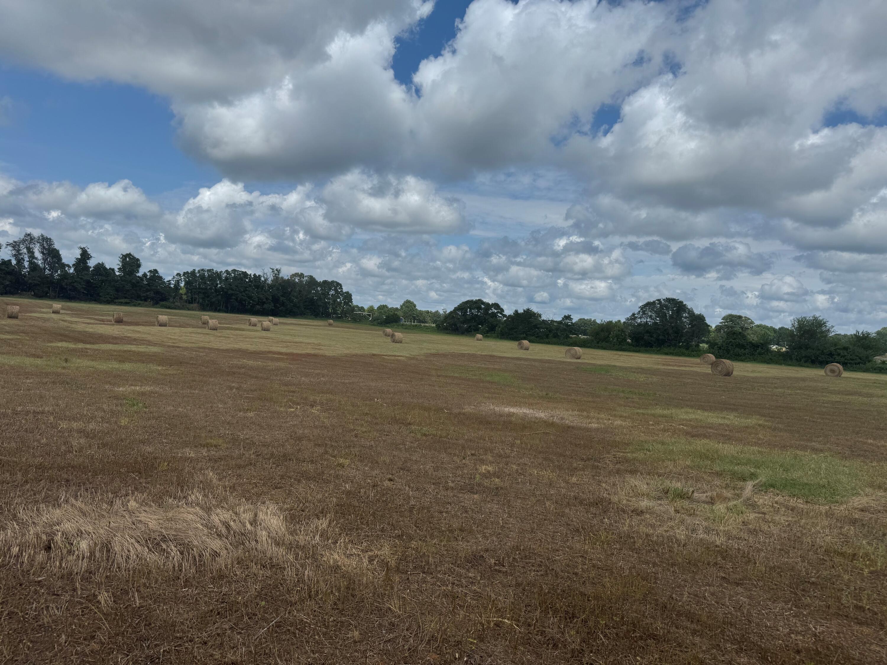 property viewer photo 10