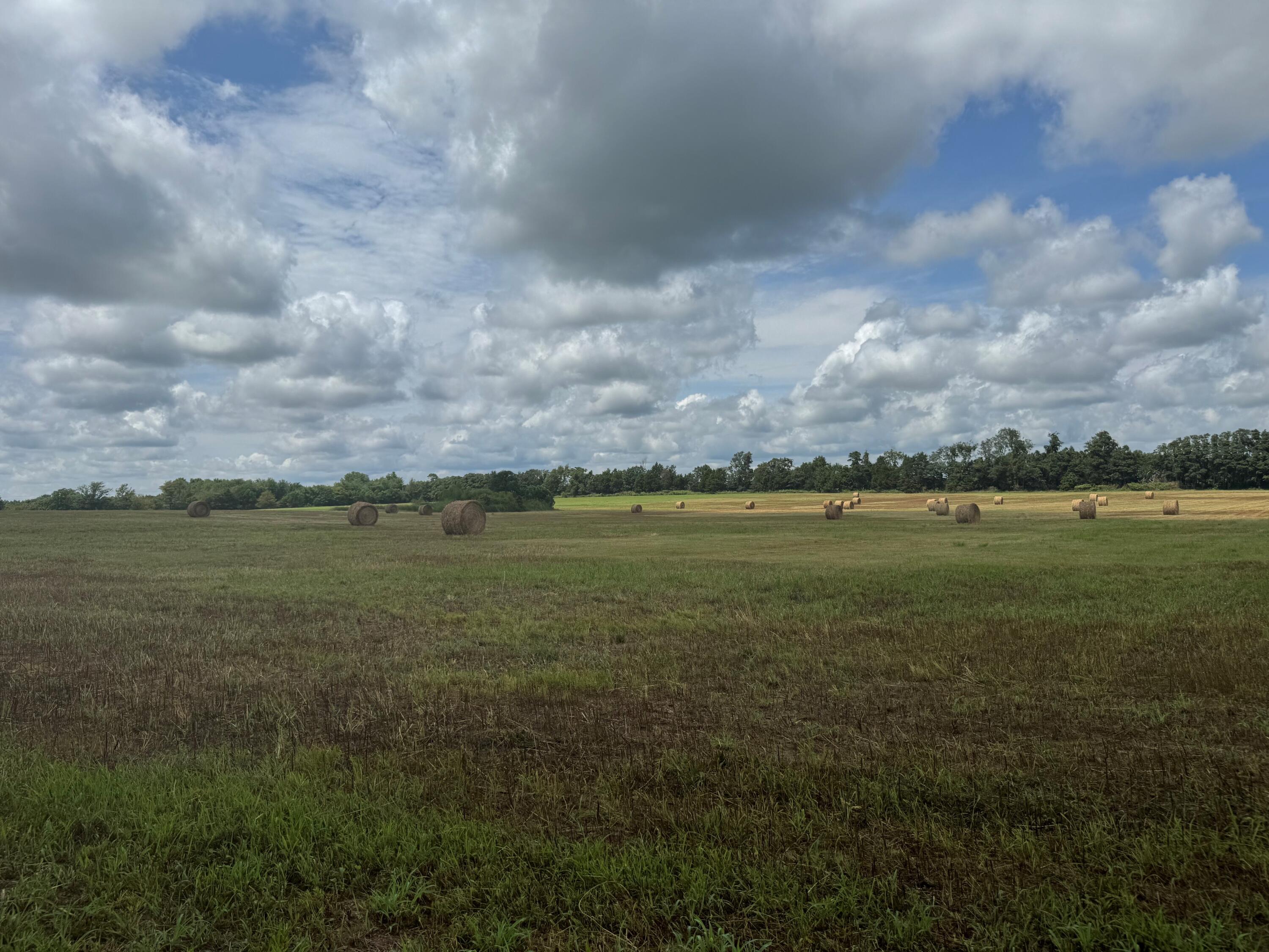 property viewer photo 12
