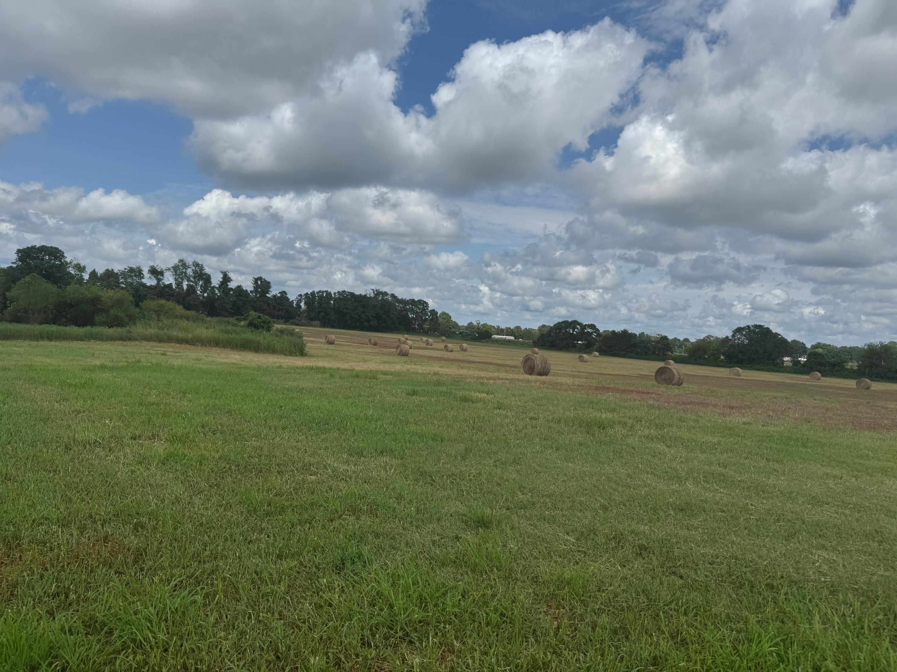 property viewer photo 14
