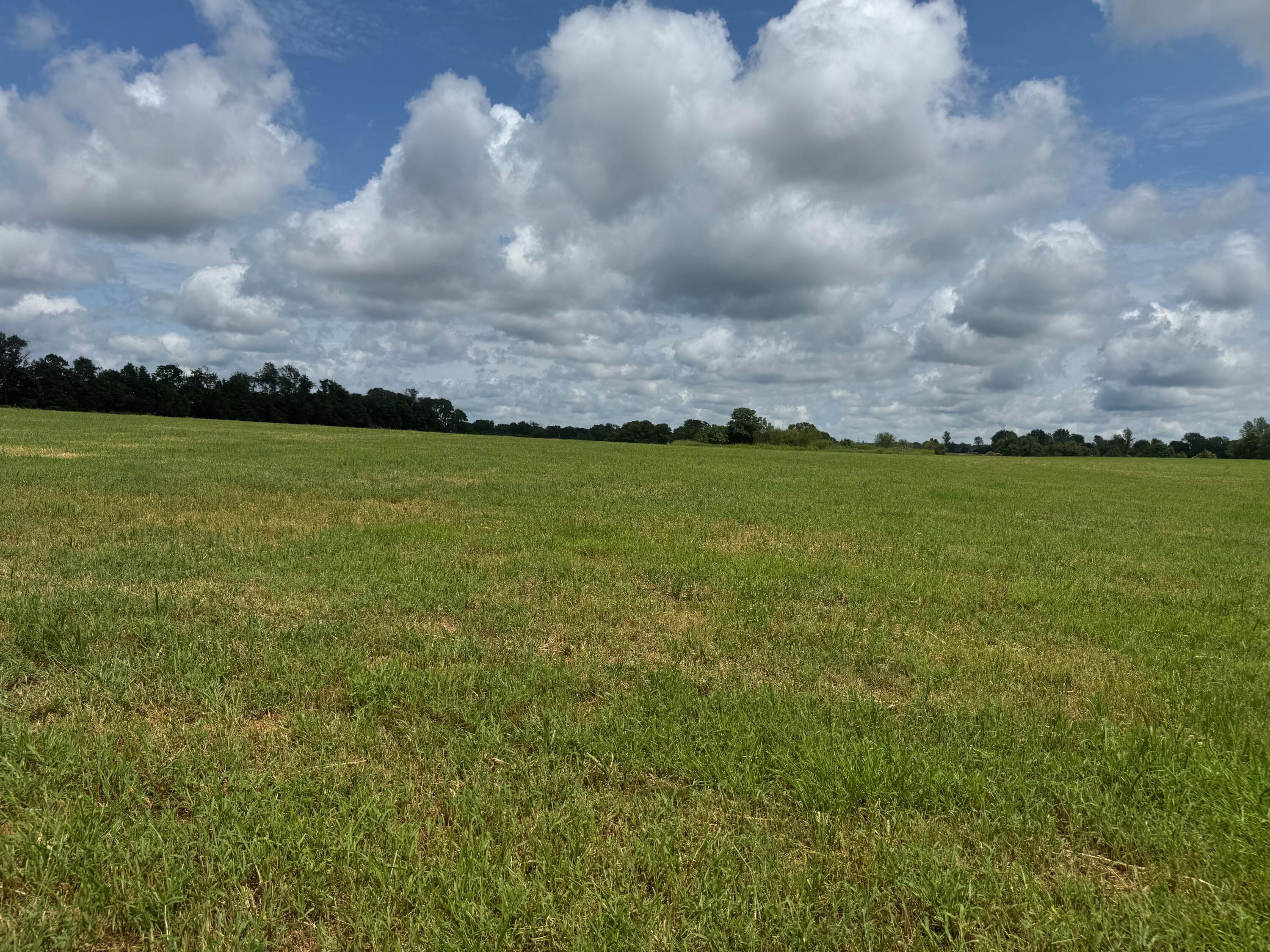 property viewer photo 2
