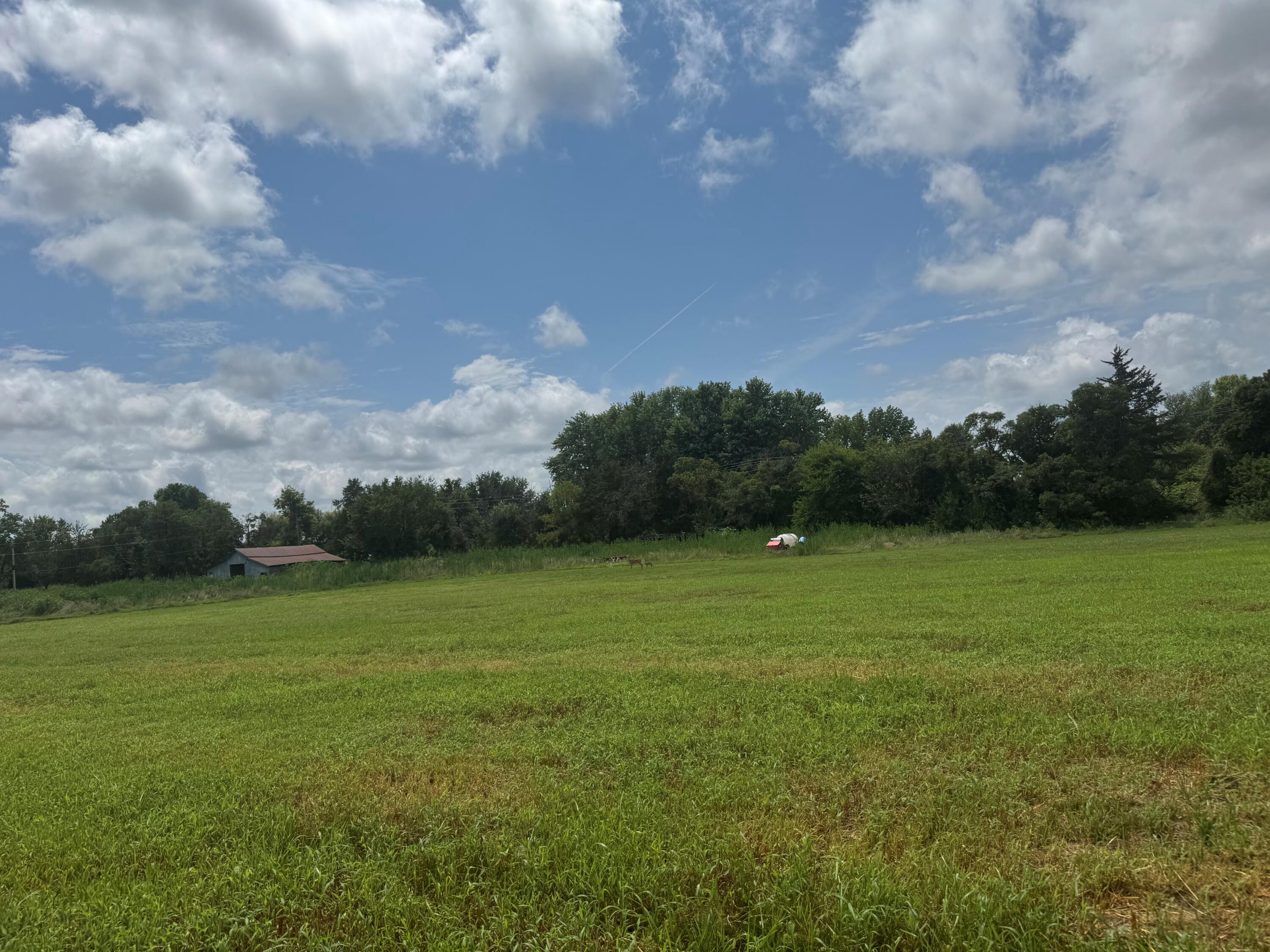 property viewer photo 7