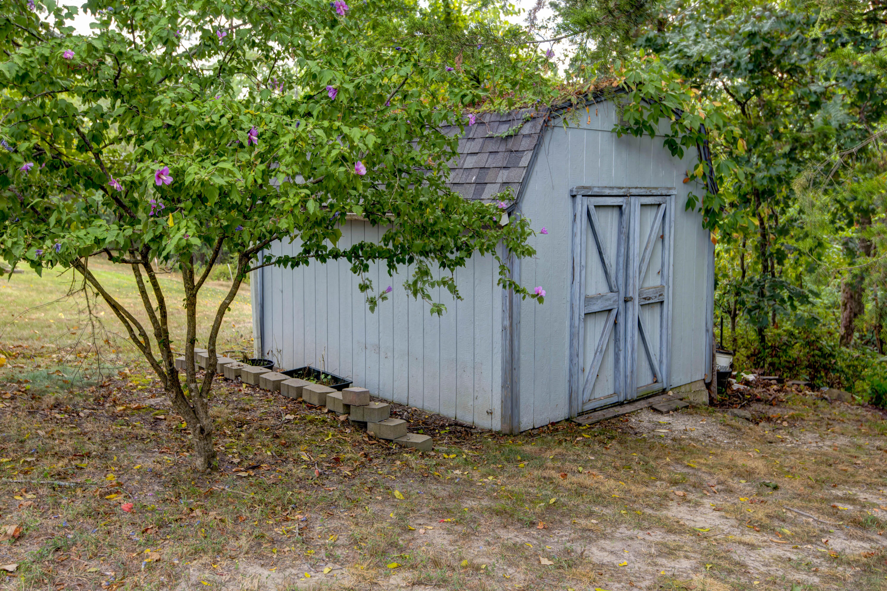 property viewer photo 38