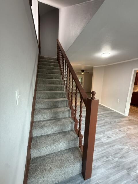 property viewer photo 25