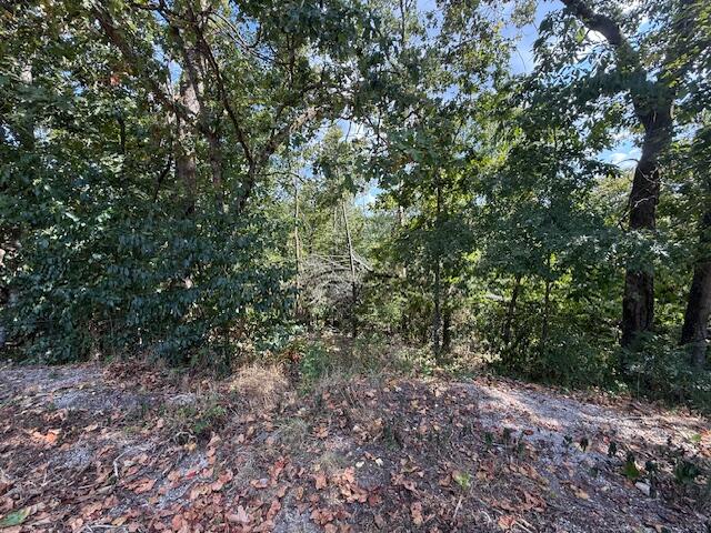 property viewer photo 2
