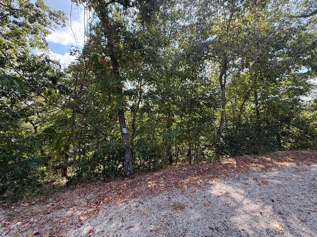 property viewer photo 4
