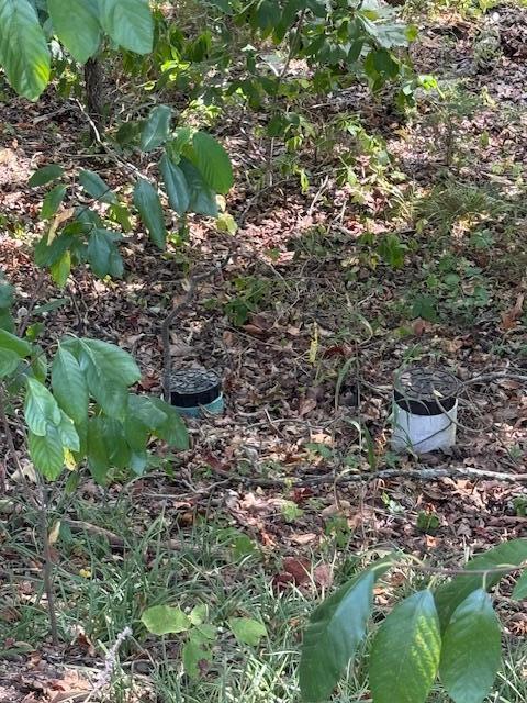 property viewer photo 7