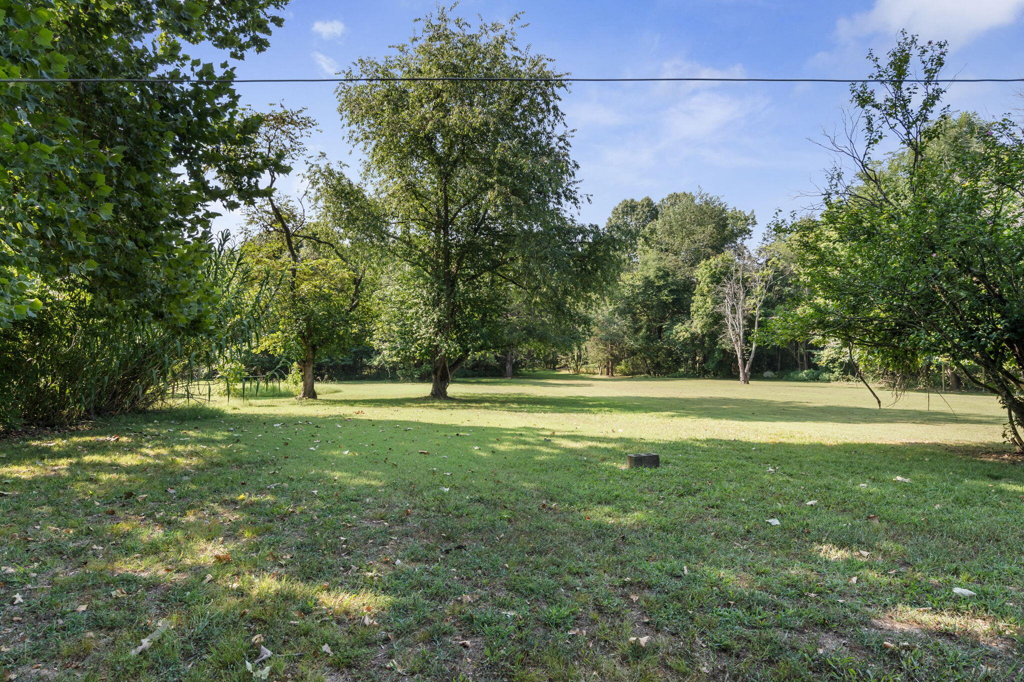 main property photo 39
