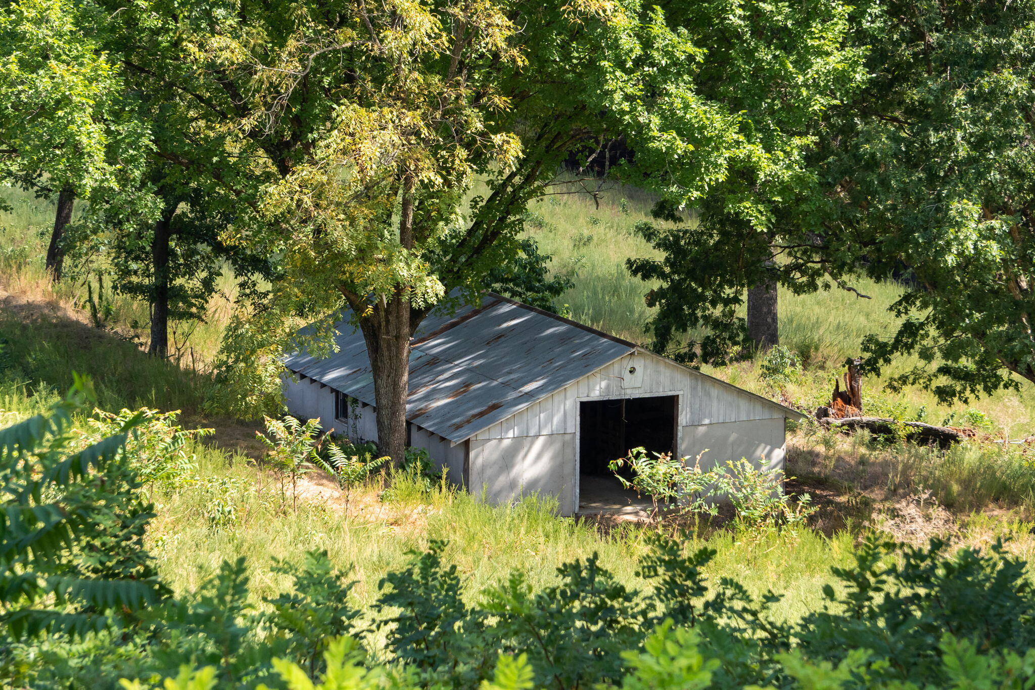 main property photo 10