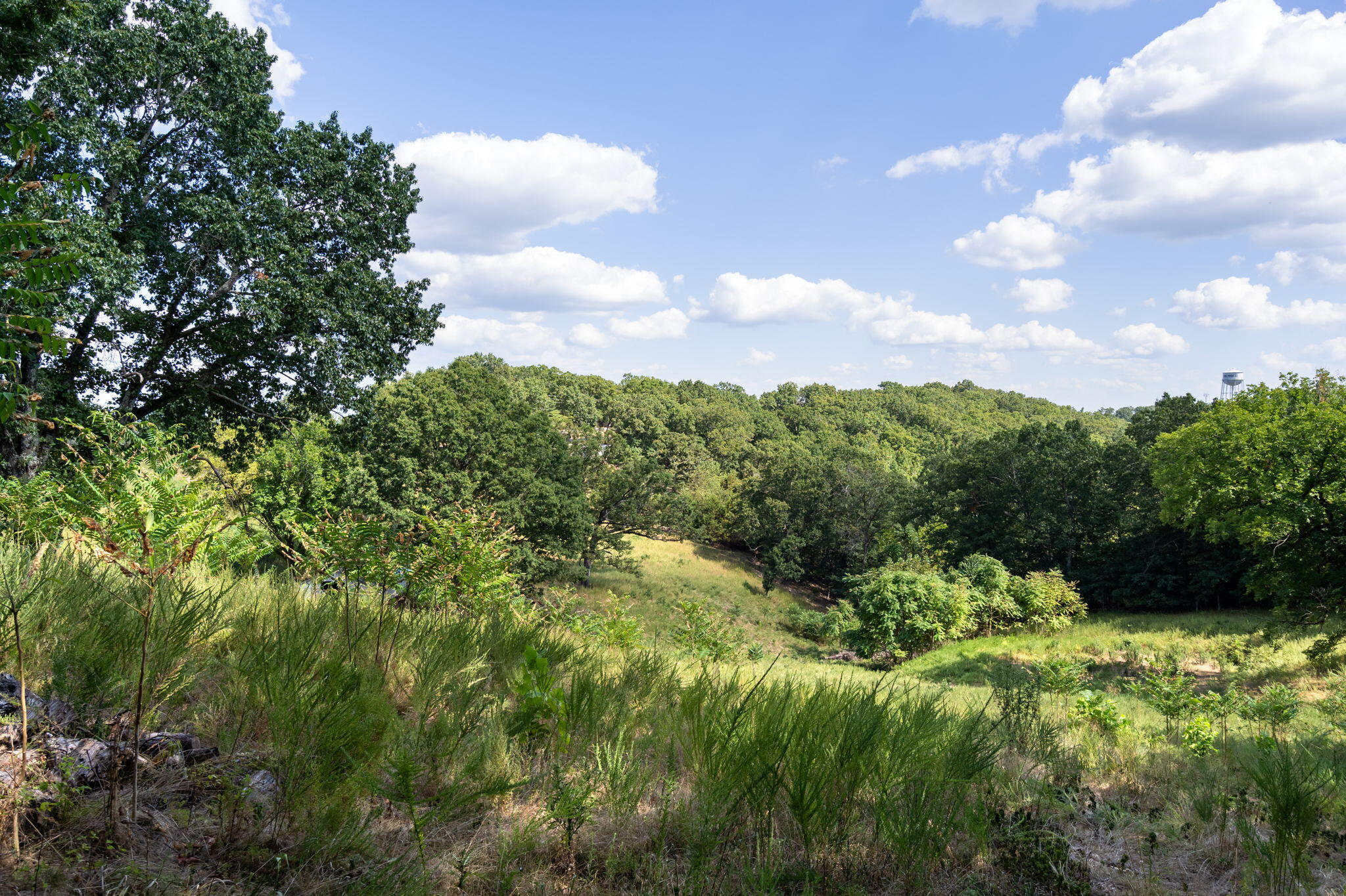 main property photo 14