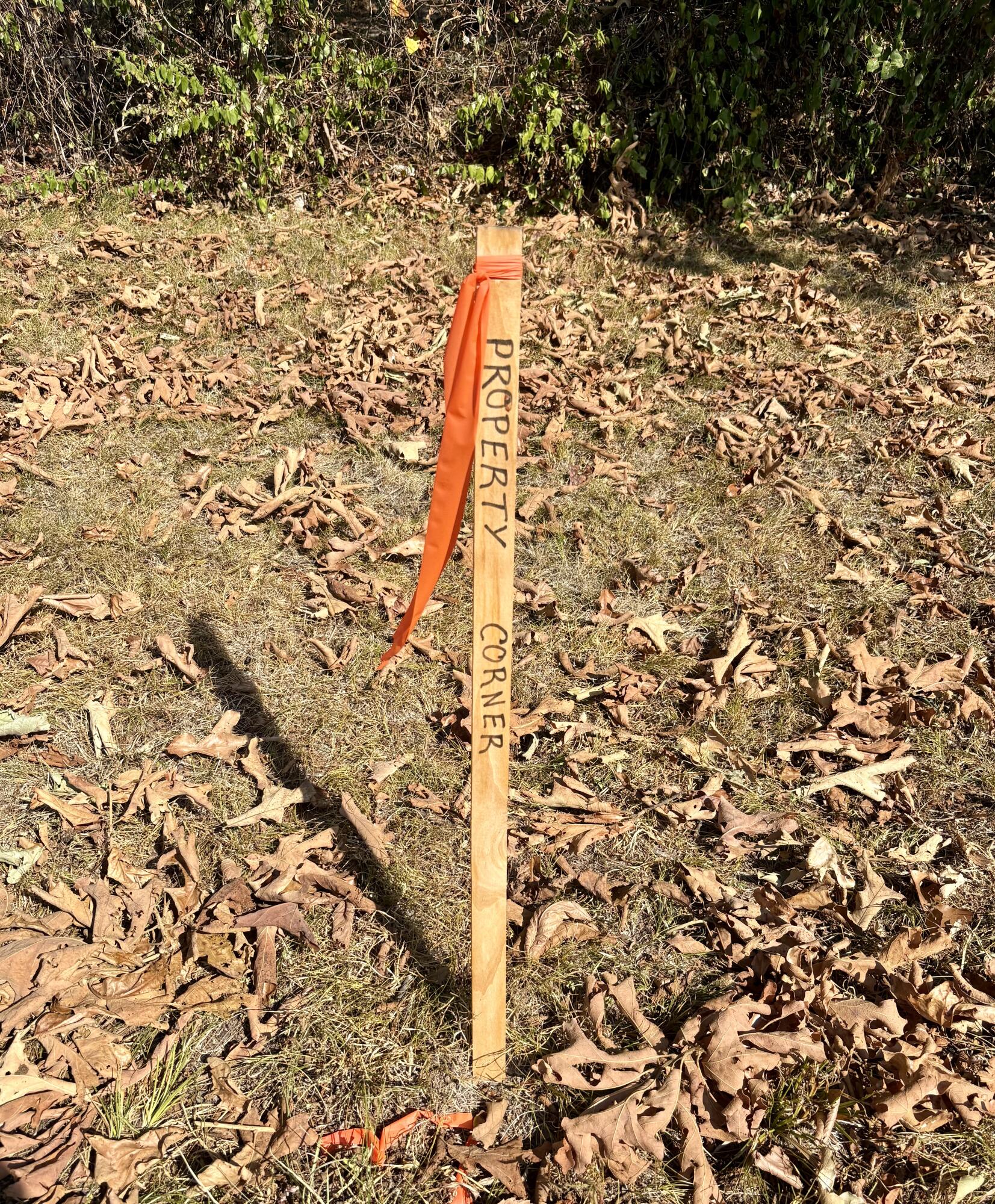 property viewer photo 13