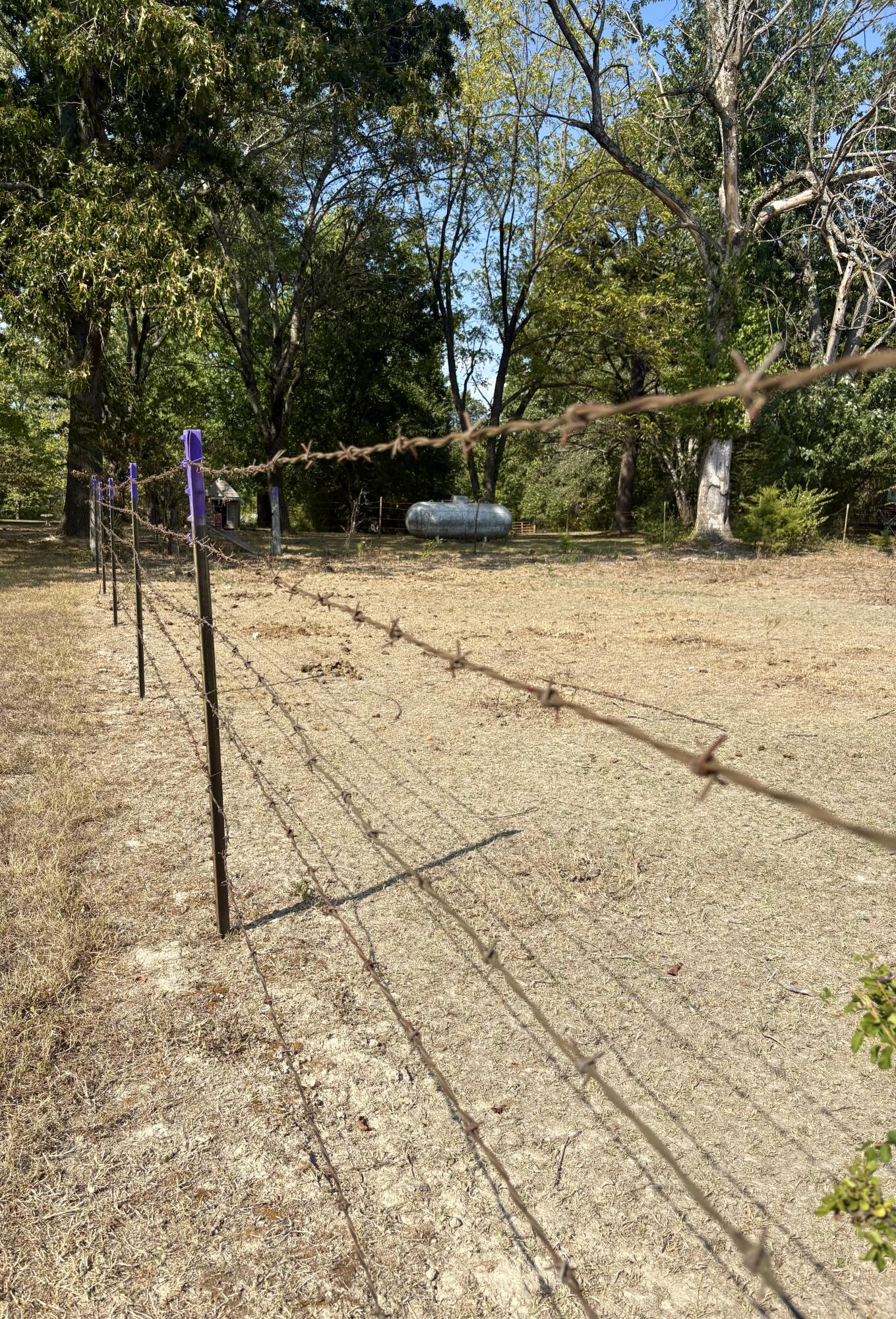 property viewer photo 4