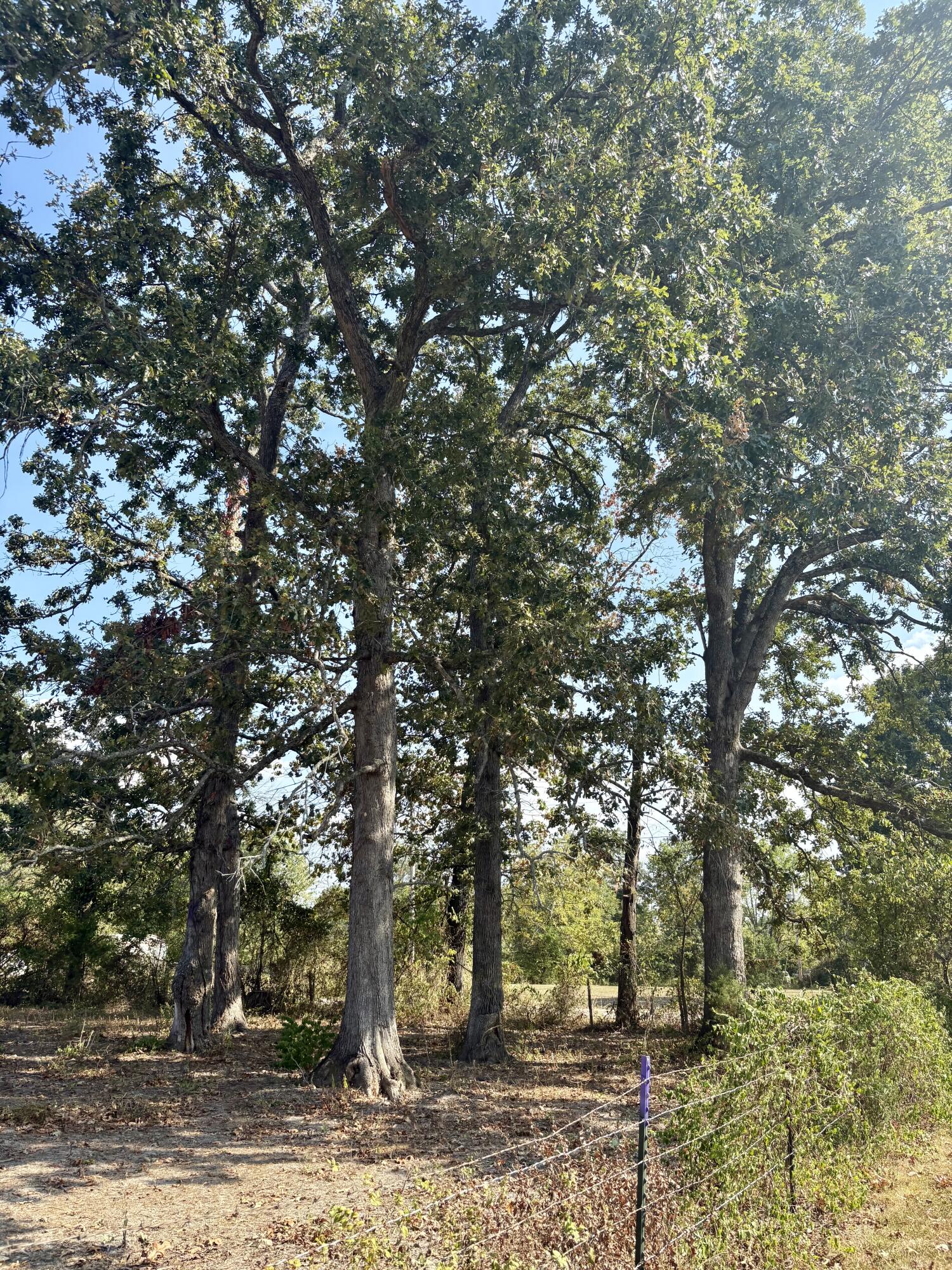 property viewer photo 5