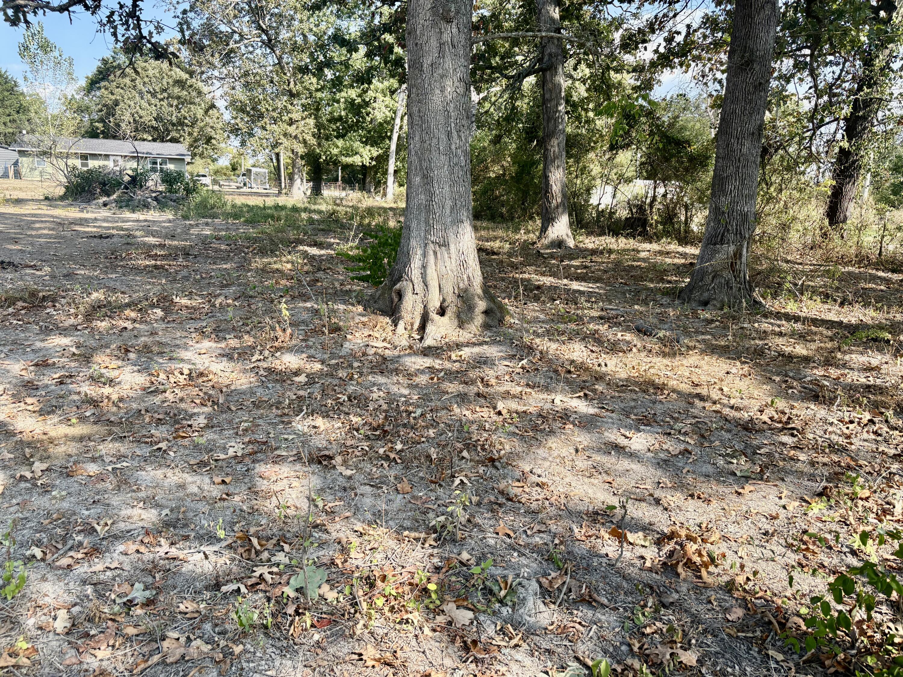 property viewer photo 6
