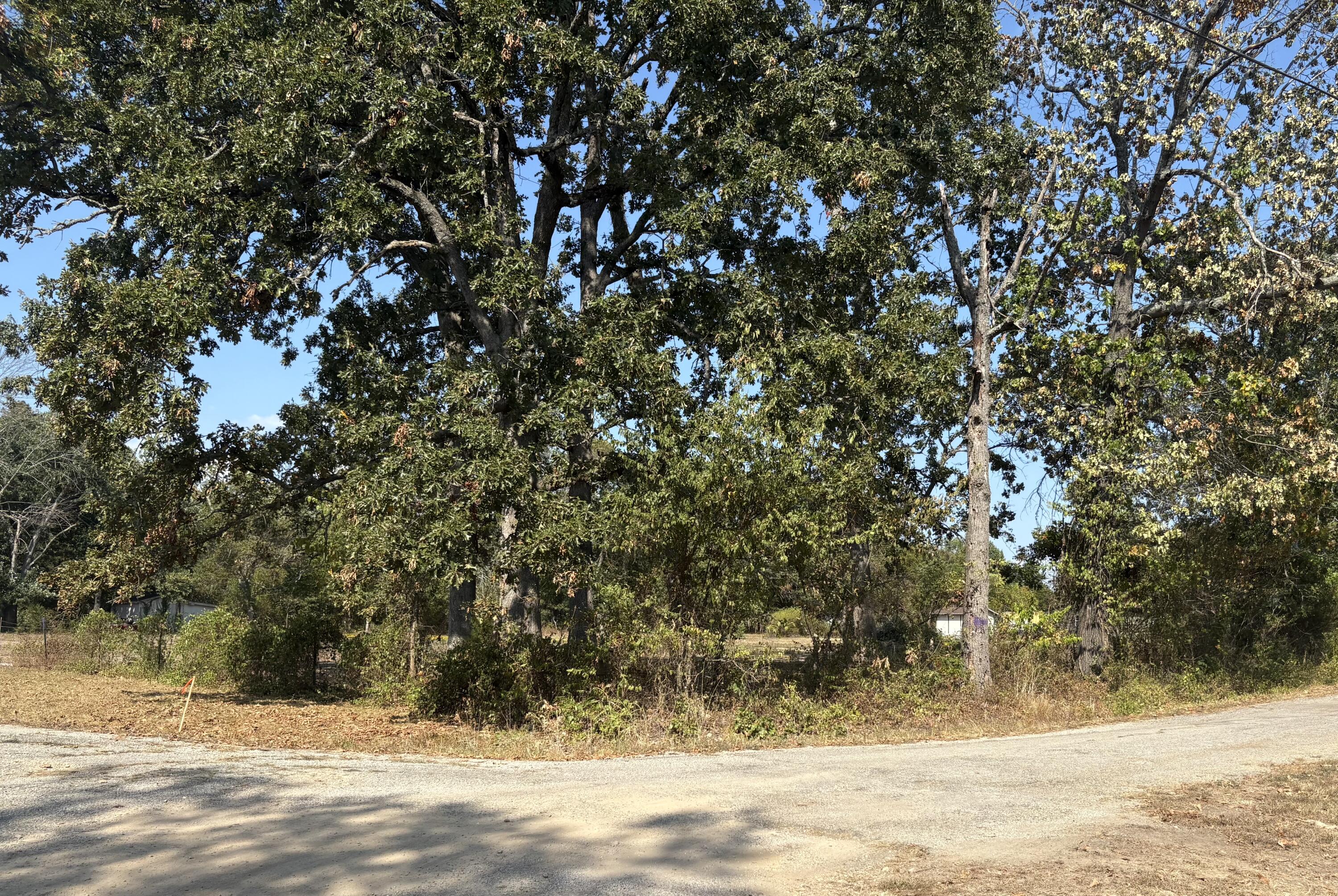 property viewer photo 8