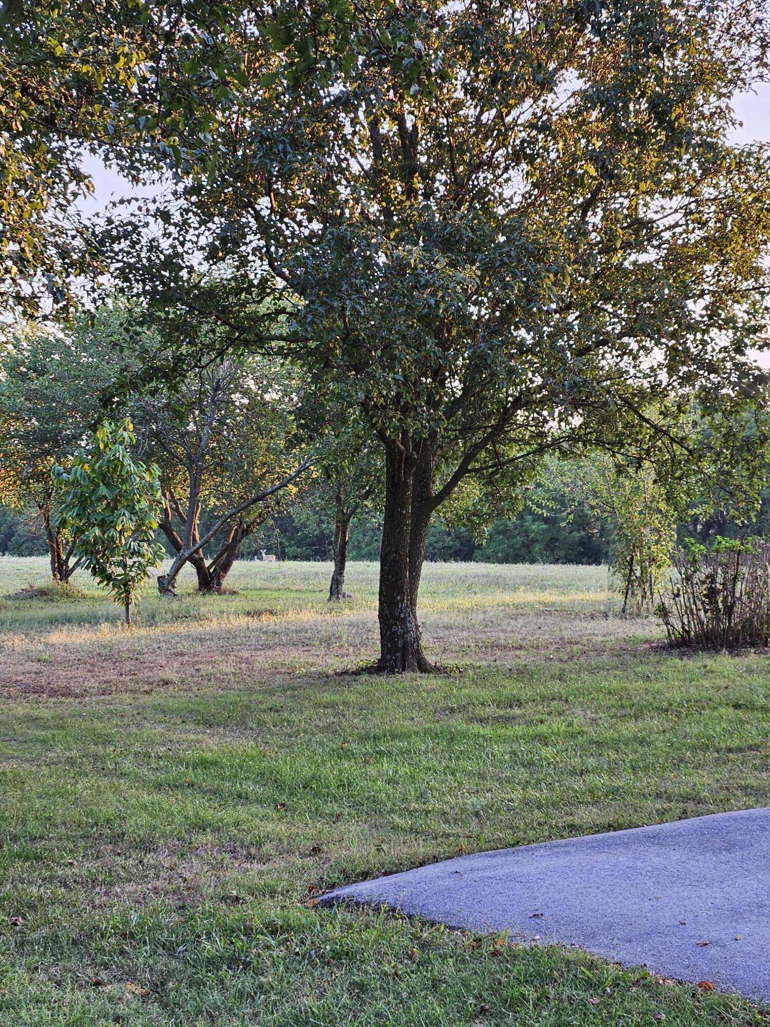 main property photo 70