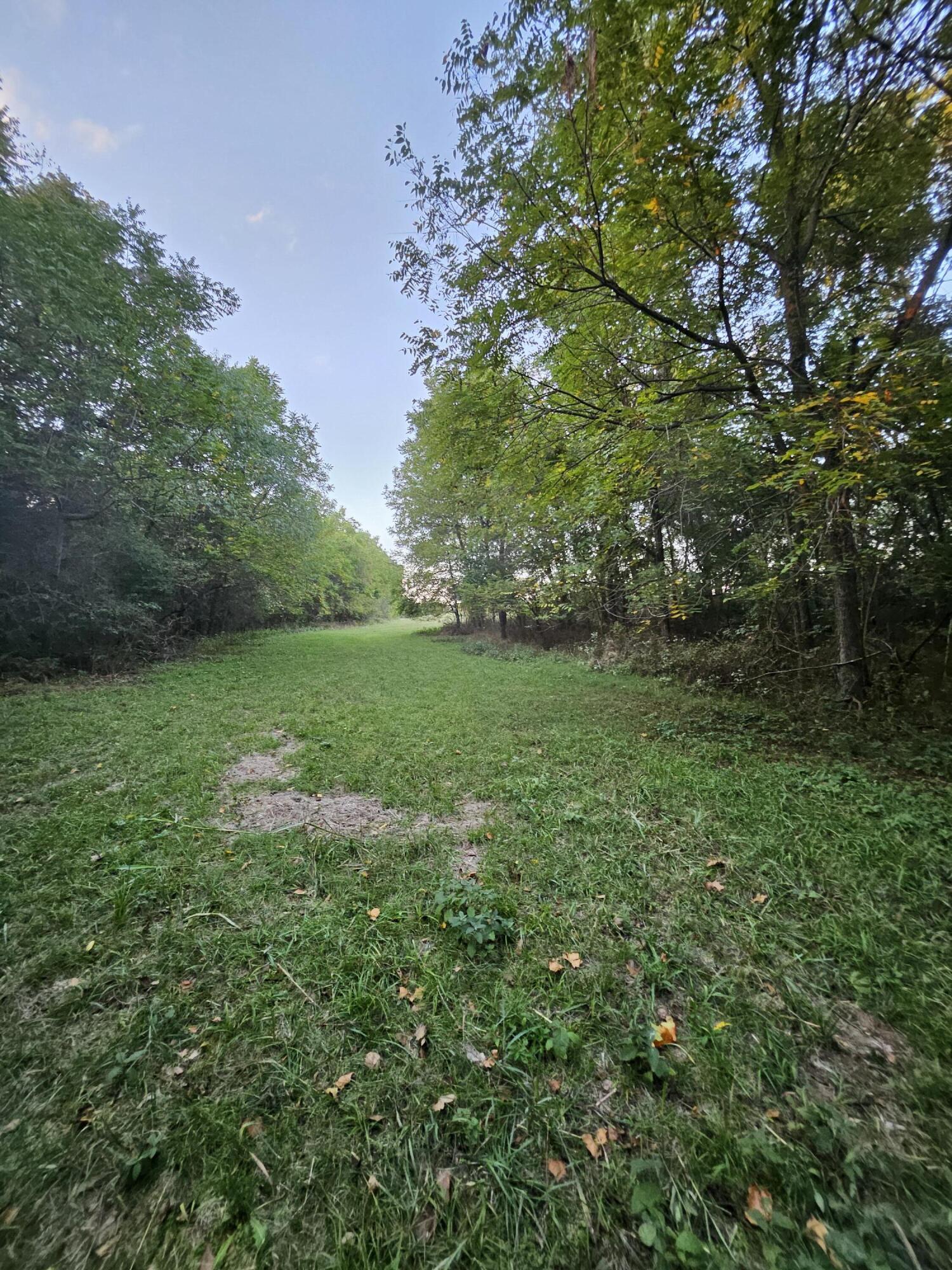 main property photo 64