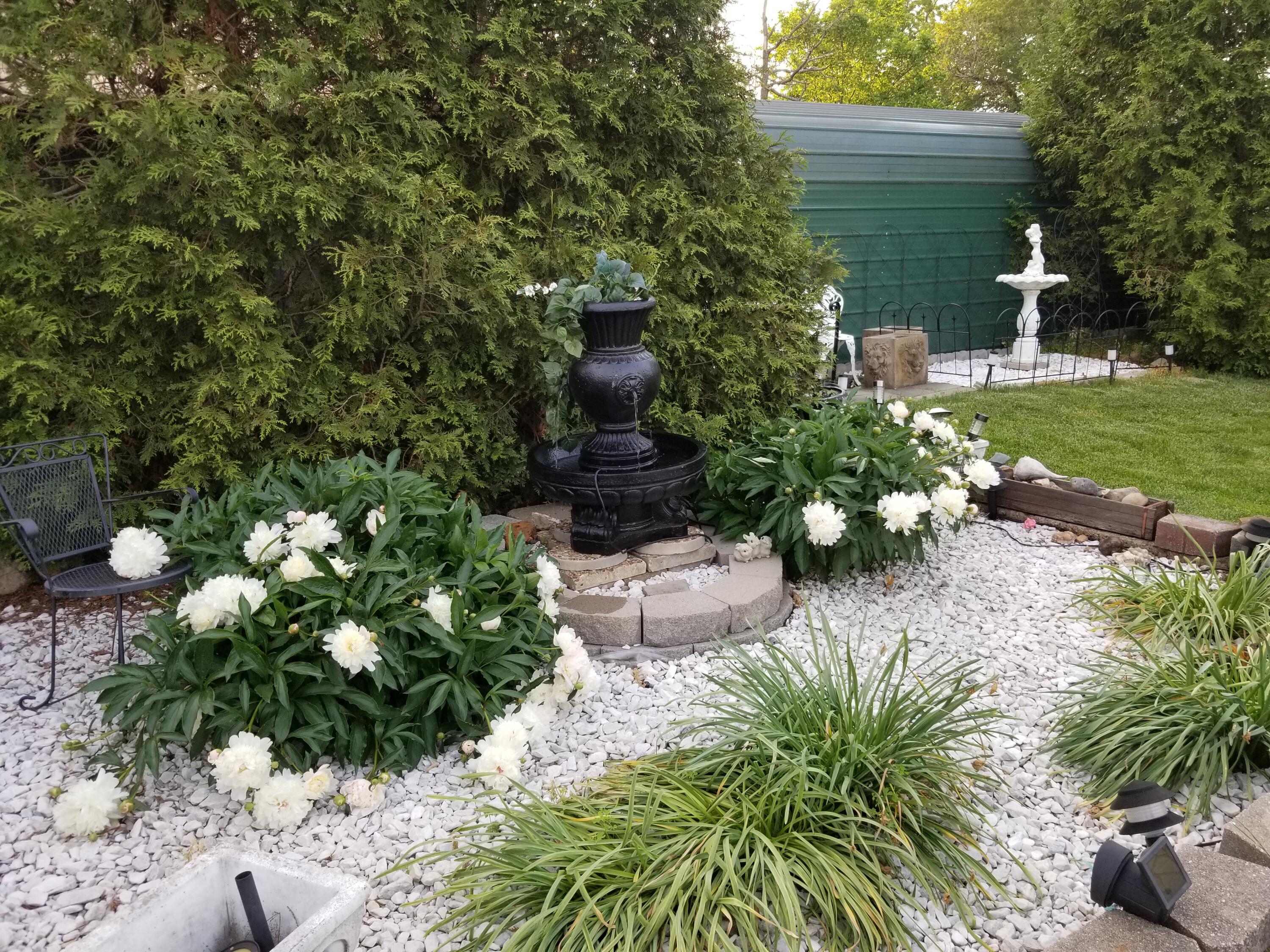 main property photo 6