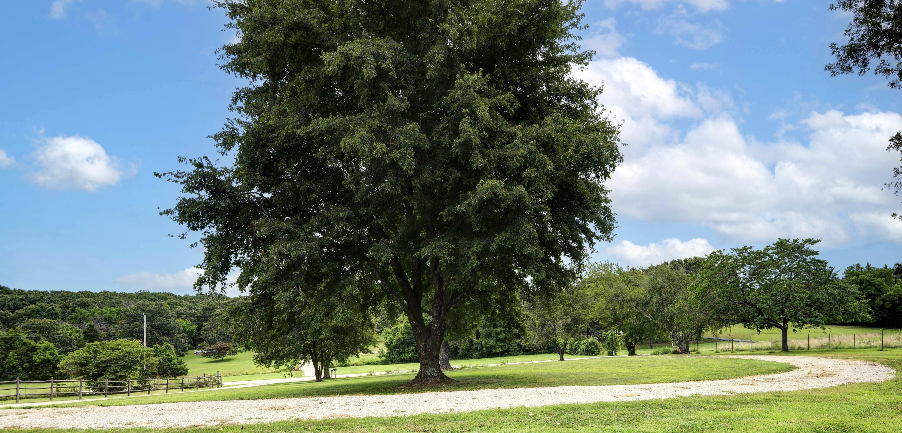 property viewer photo 34