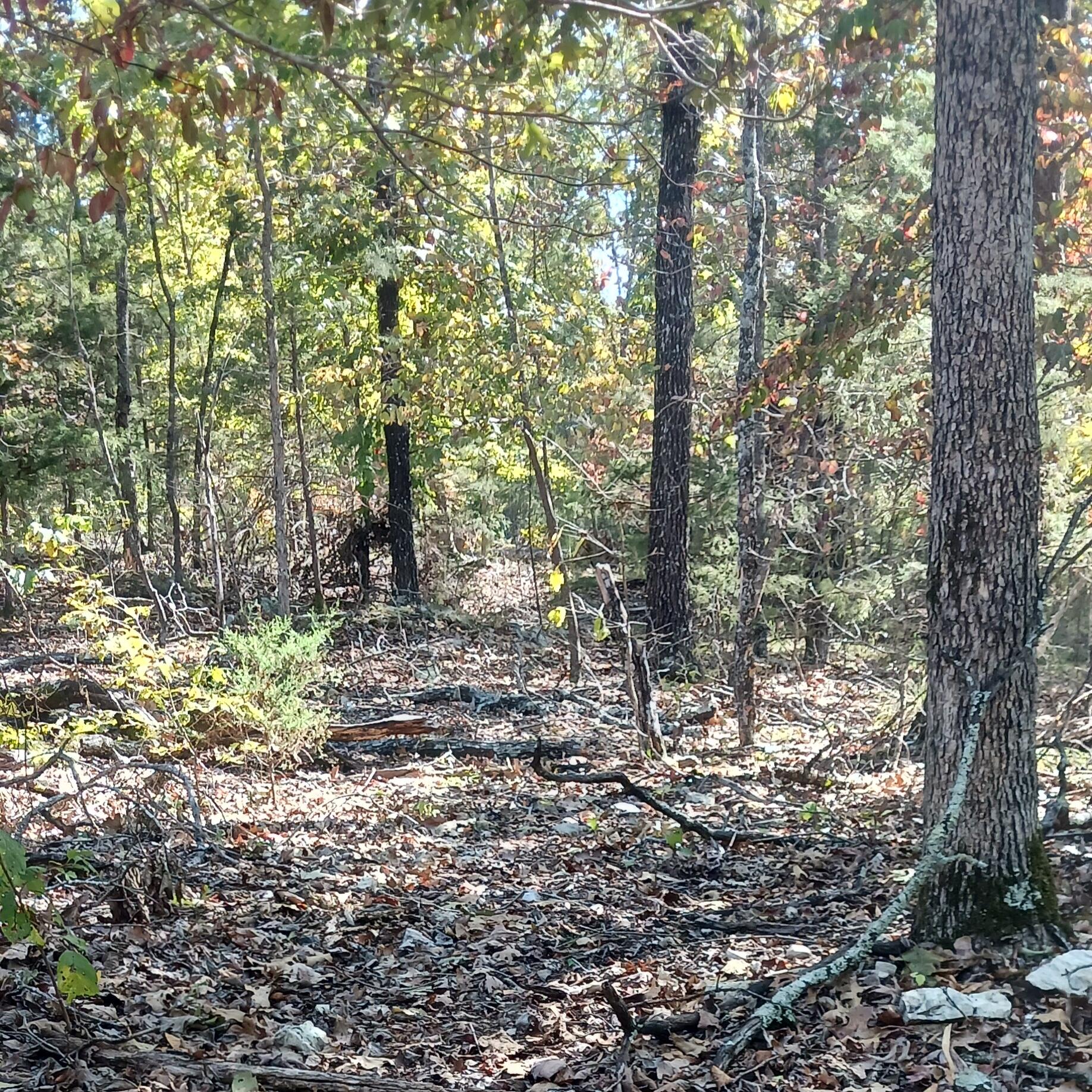 main property photo 0