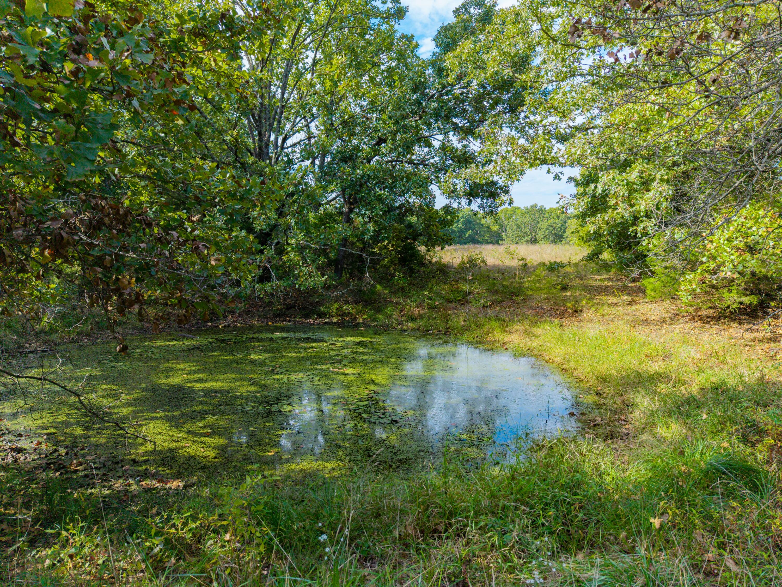 main property photo 99