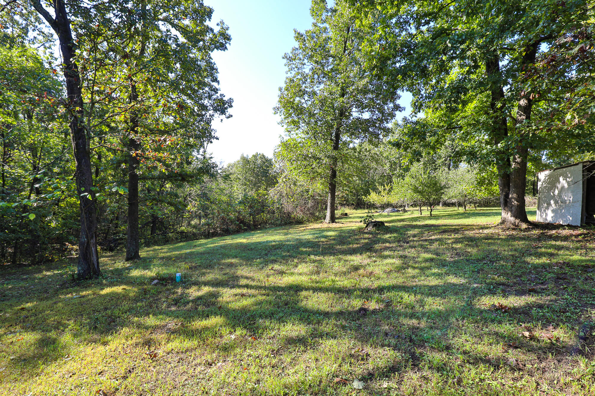 main property photo 57