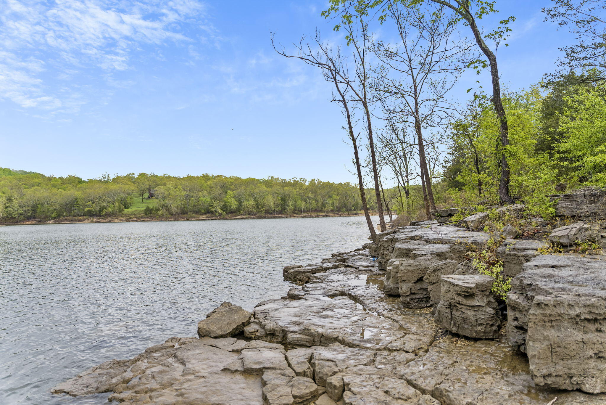 main property photo 54