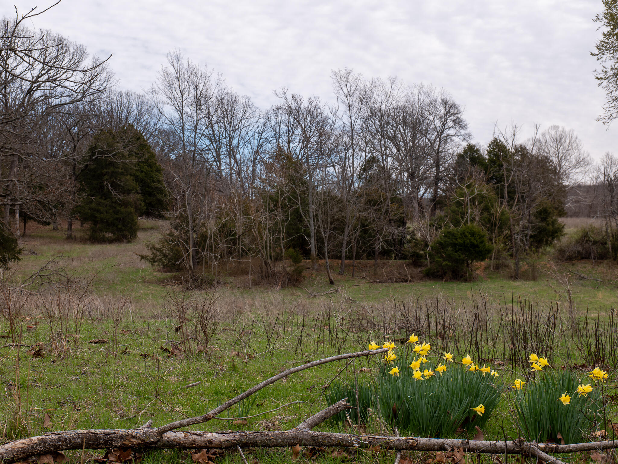 main property photo 21