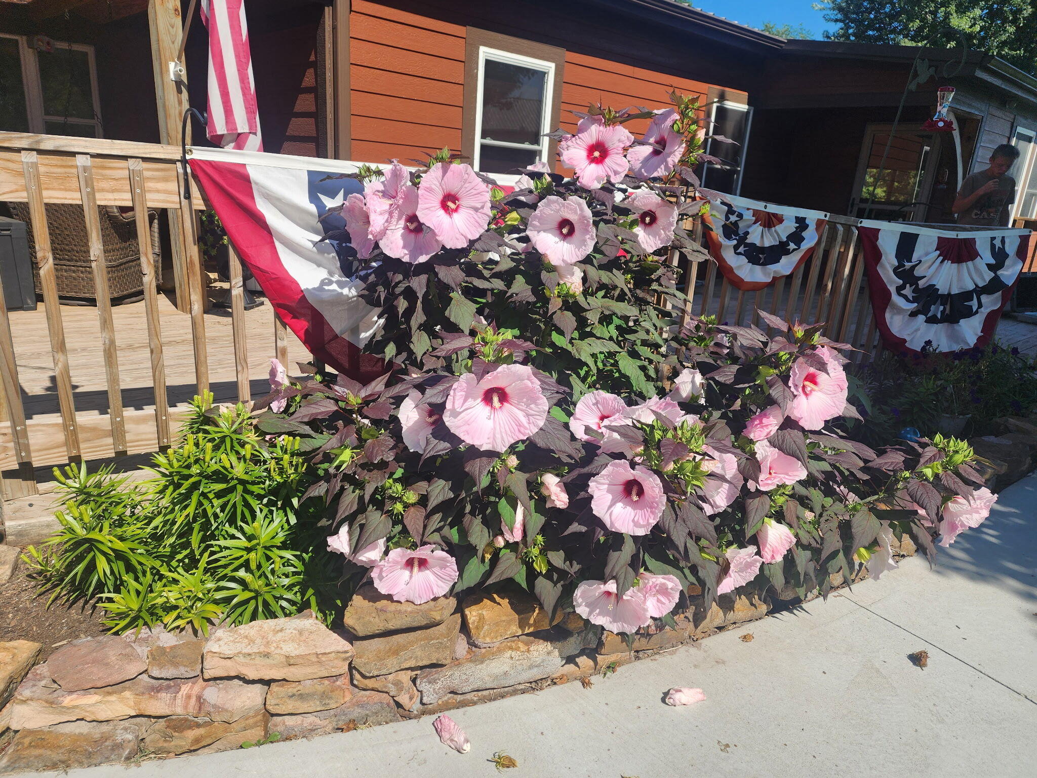 property viewer photo 1
