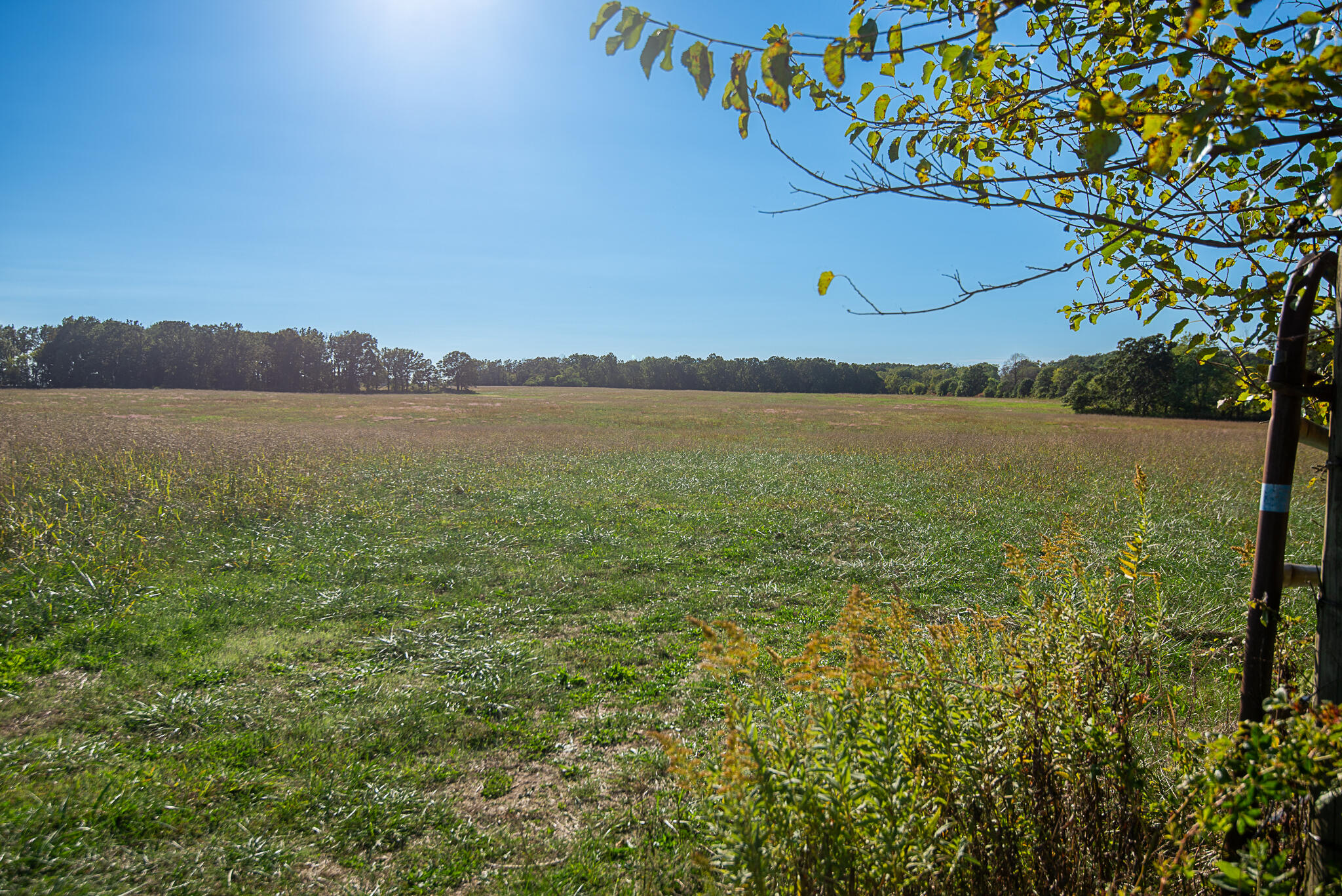 main property photo 63