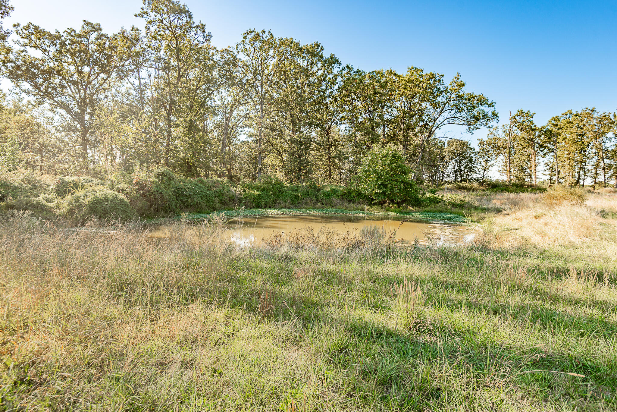 main property photo 76