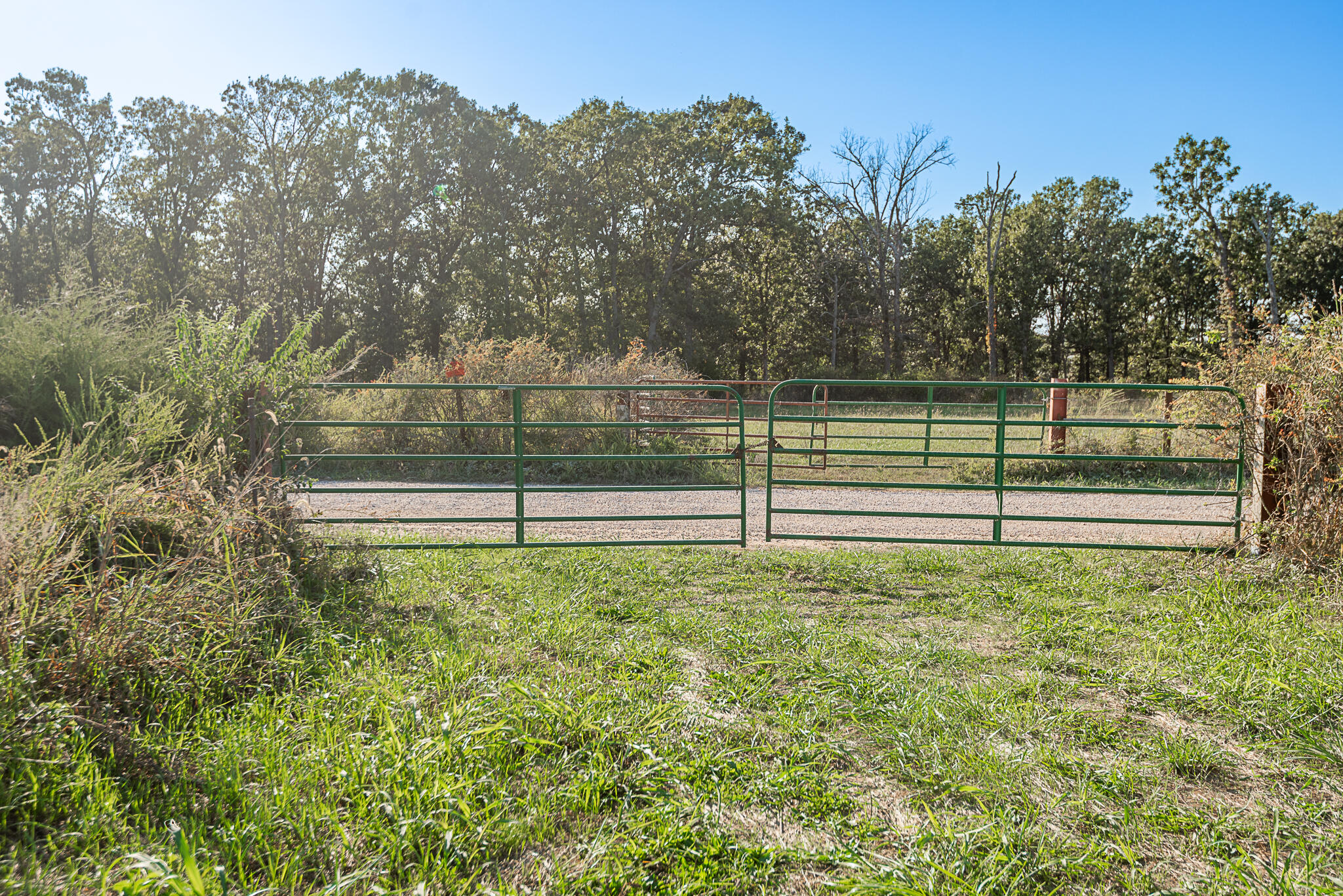 main property photo 93