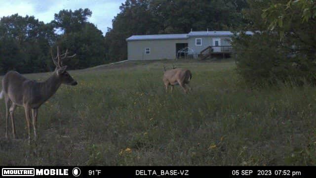 main property photo 51