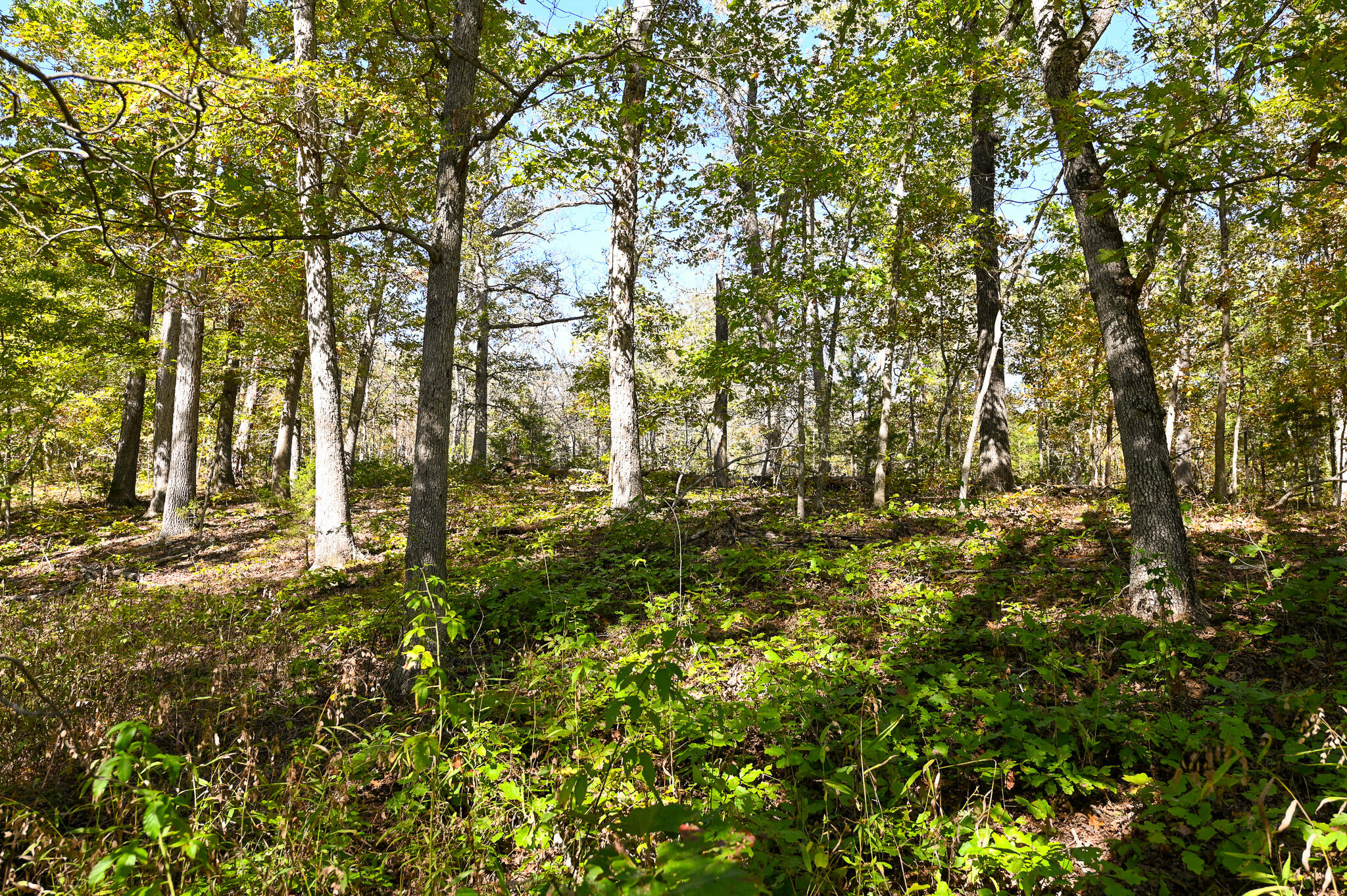 main property photo 42
