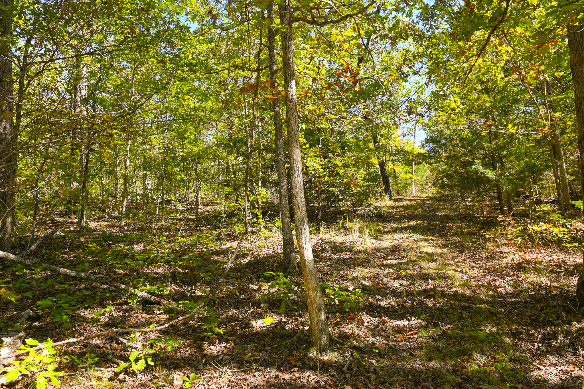 main property photo 43