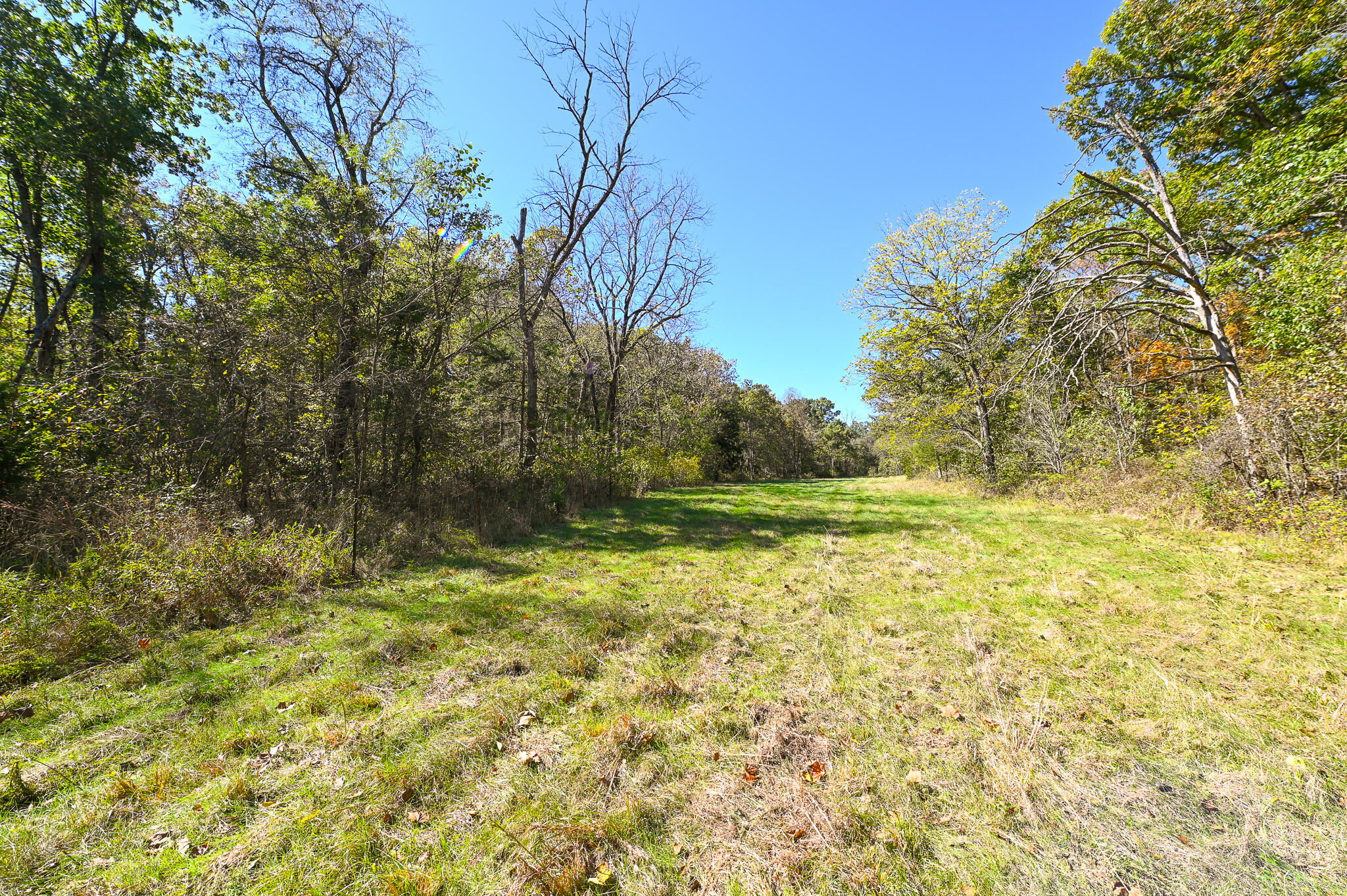 main property photo 47