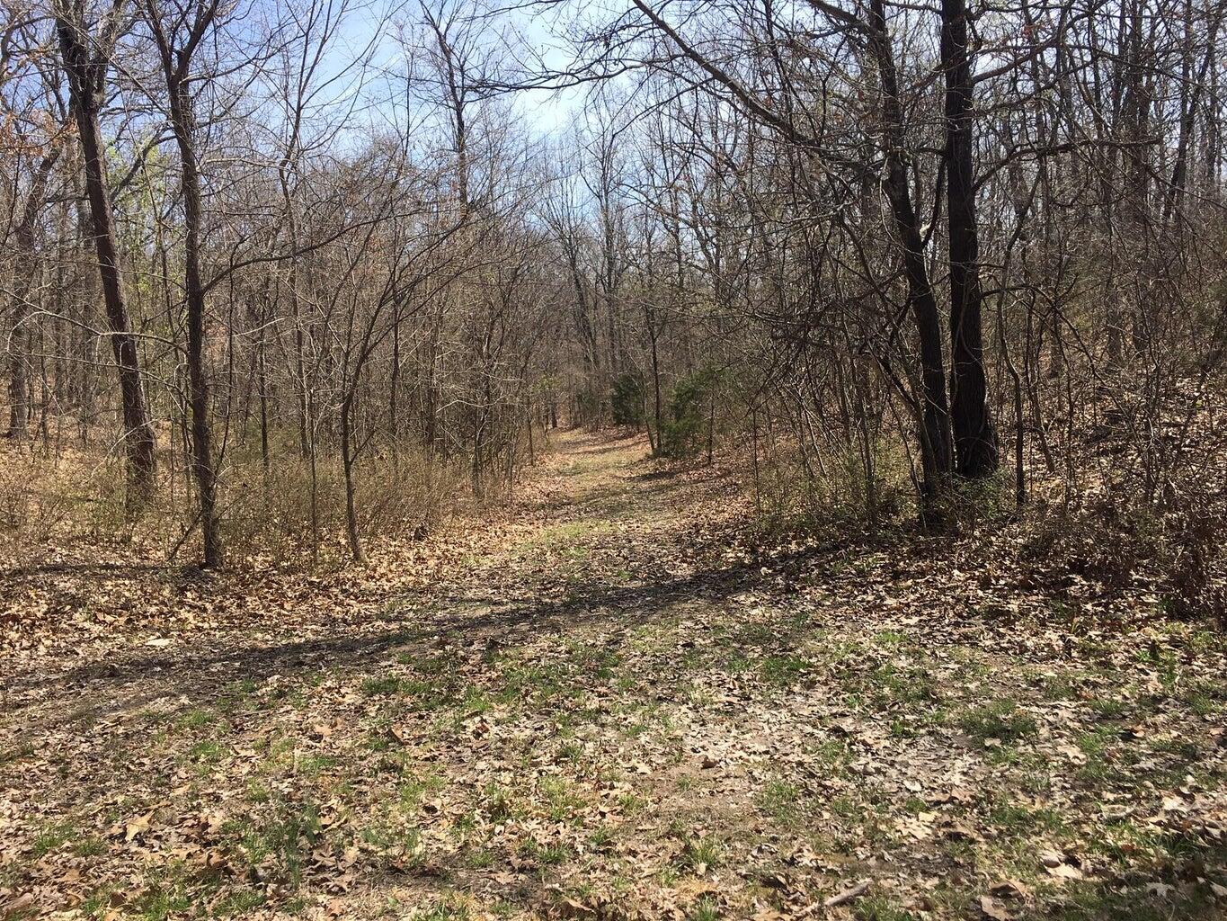 main property photo 14