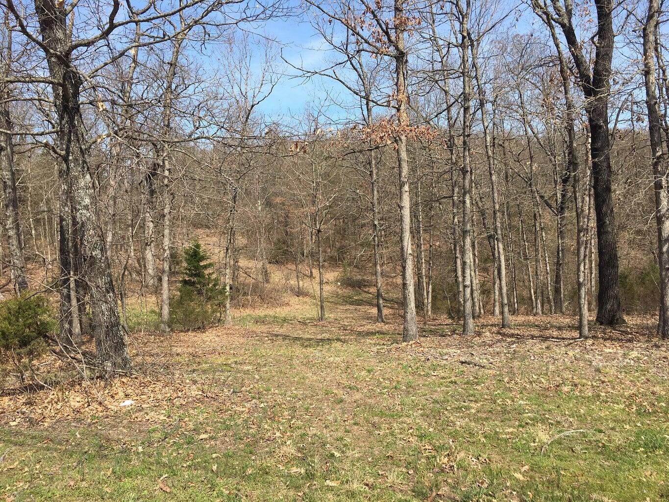 main property photo 5