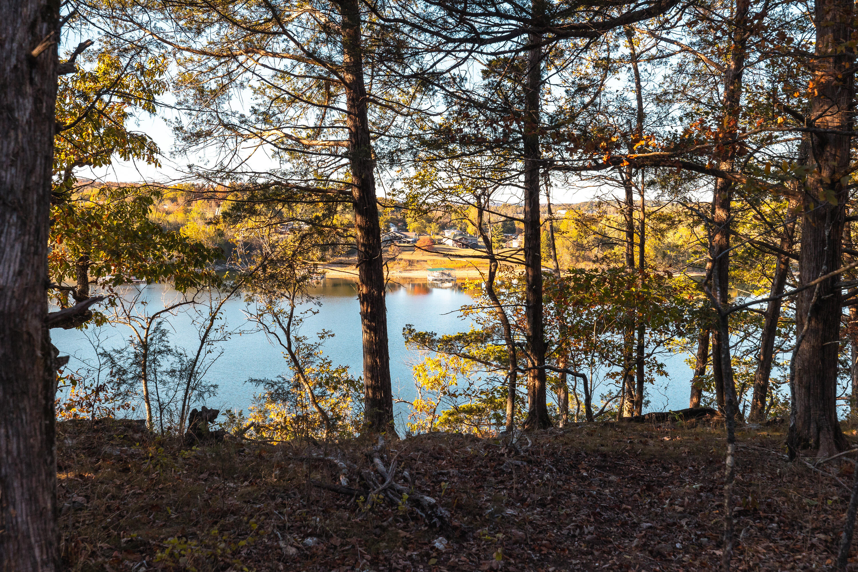 property viewer photo 11