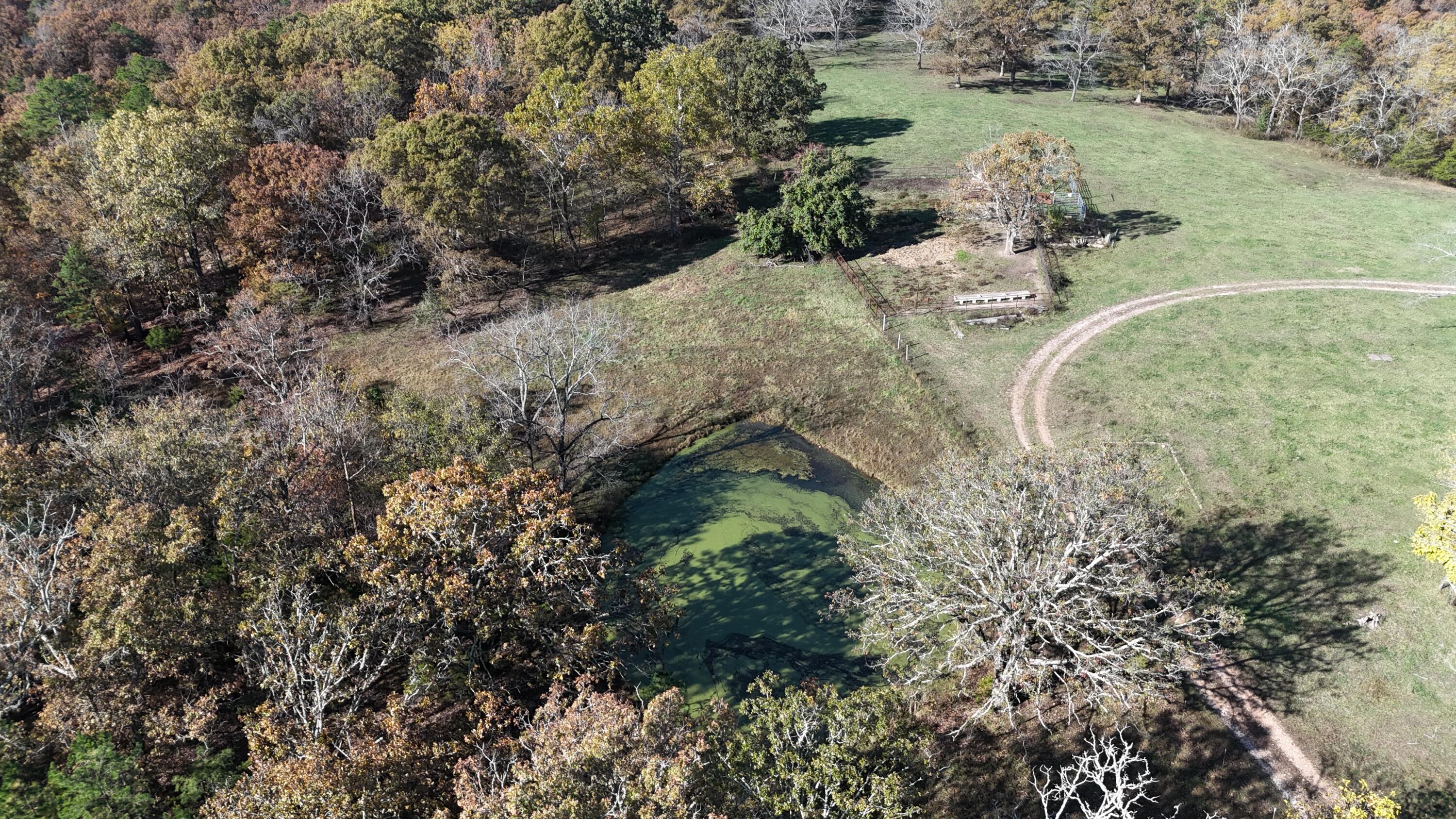 main property photo 47