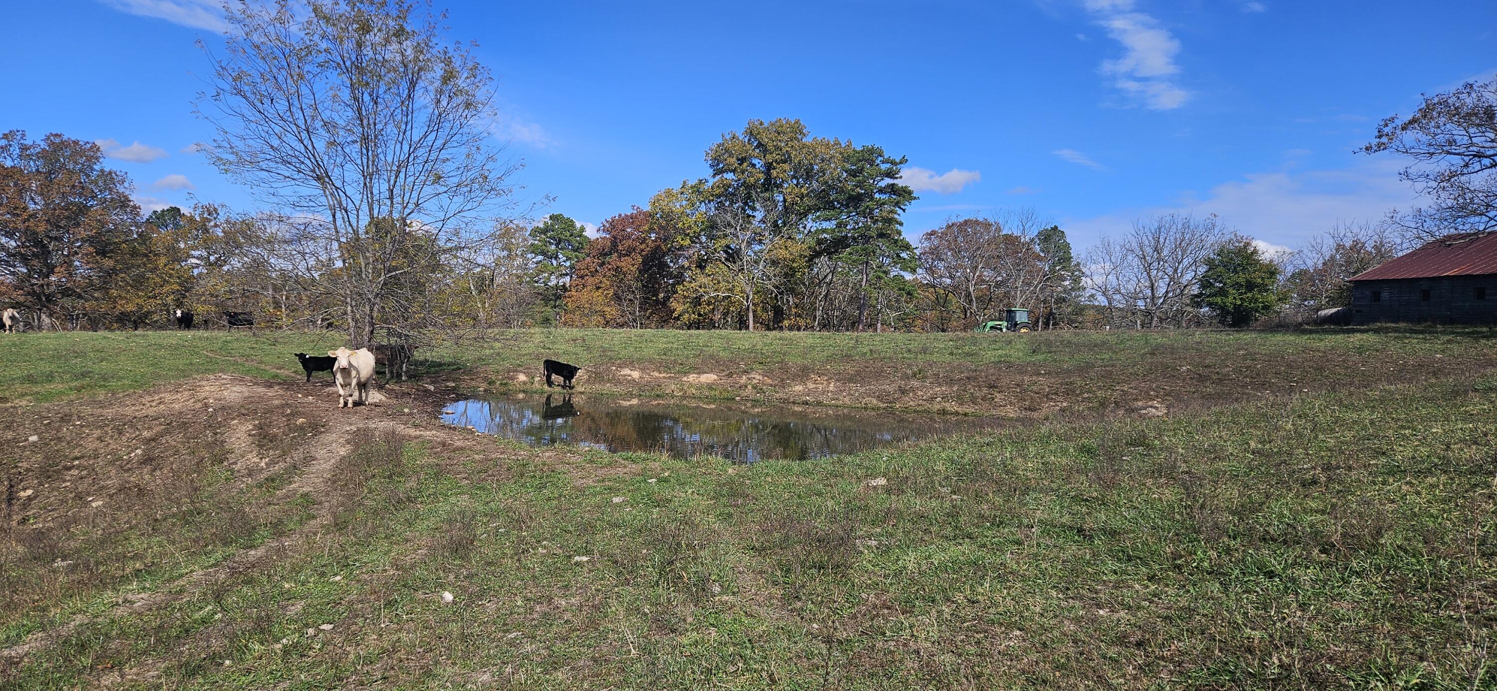 main property photo 50