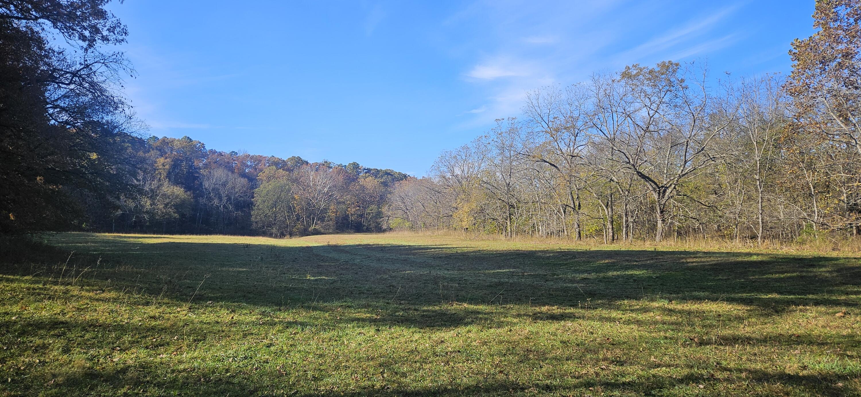 main property photo 55