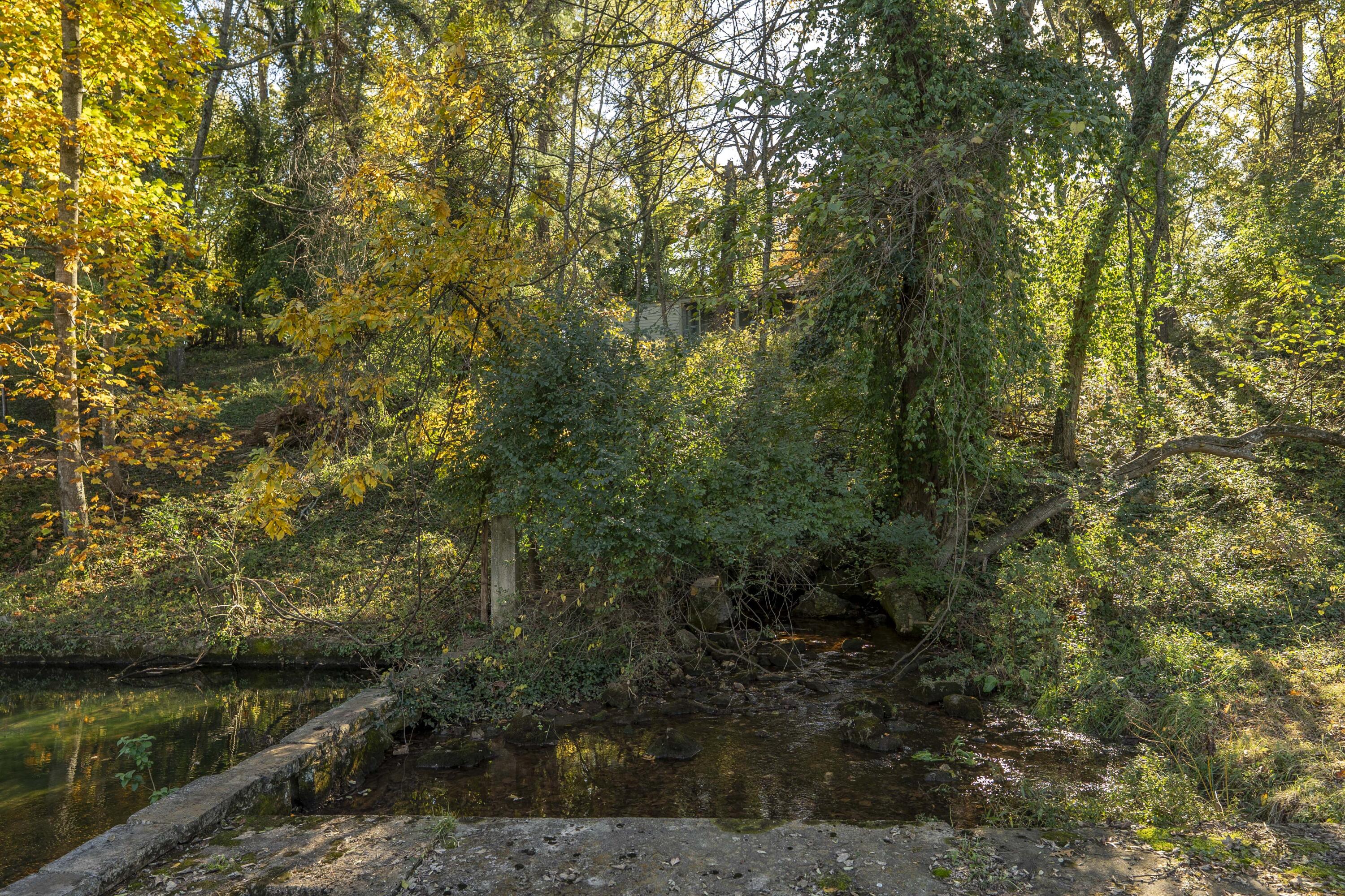 main property photo 104