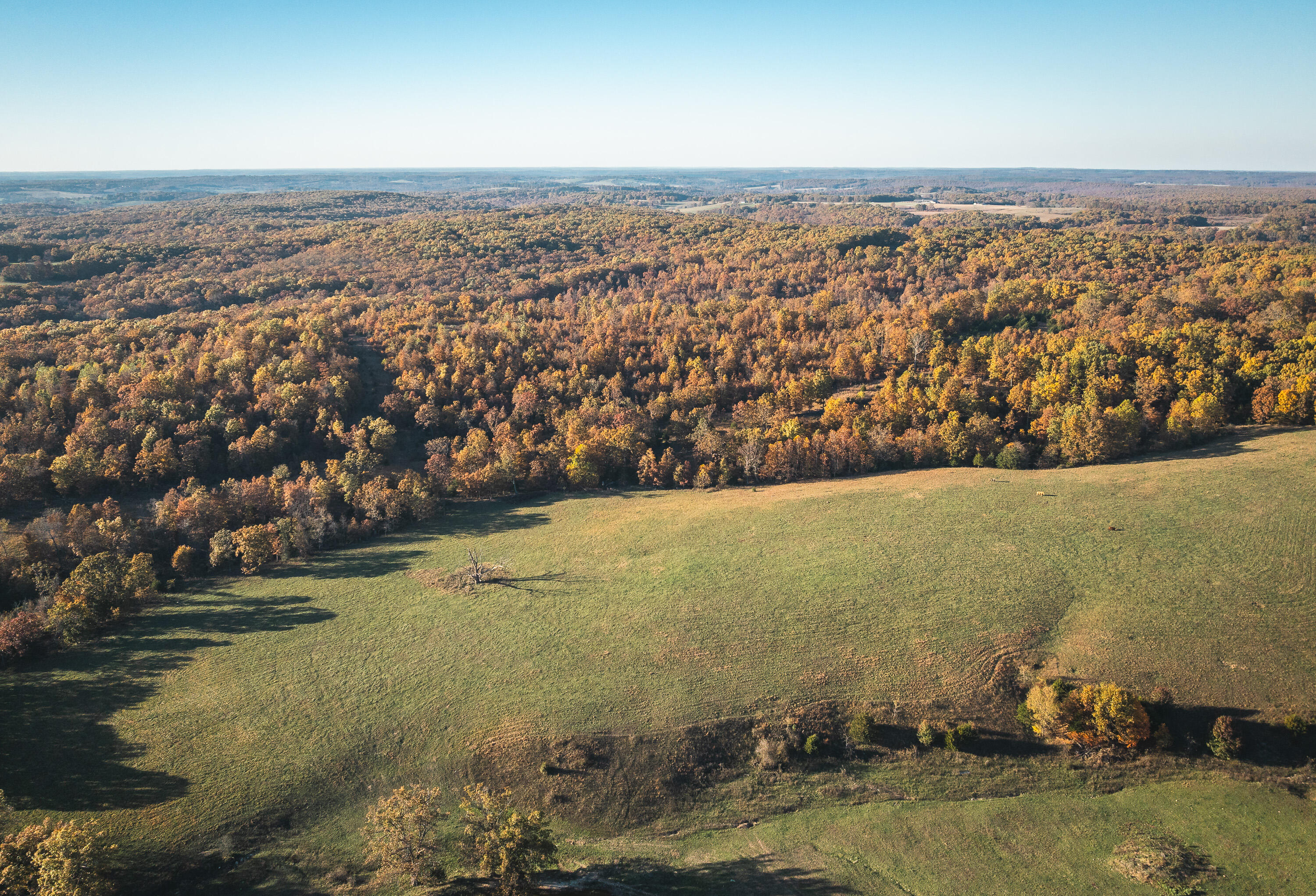main property photo 46